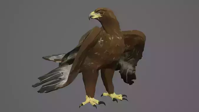 Golden Eagle Low Polly