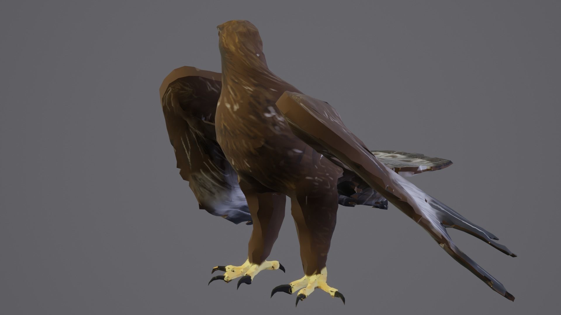 Golden Eagle Low Polly Low-poly 3D model_7