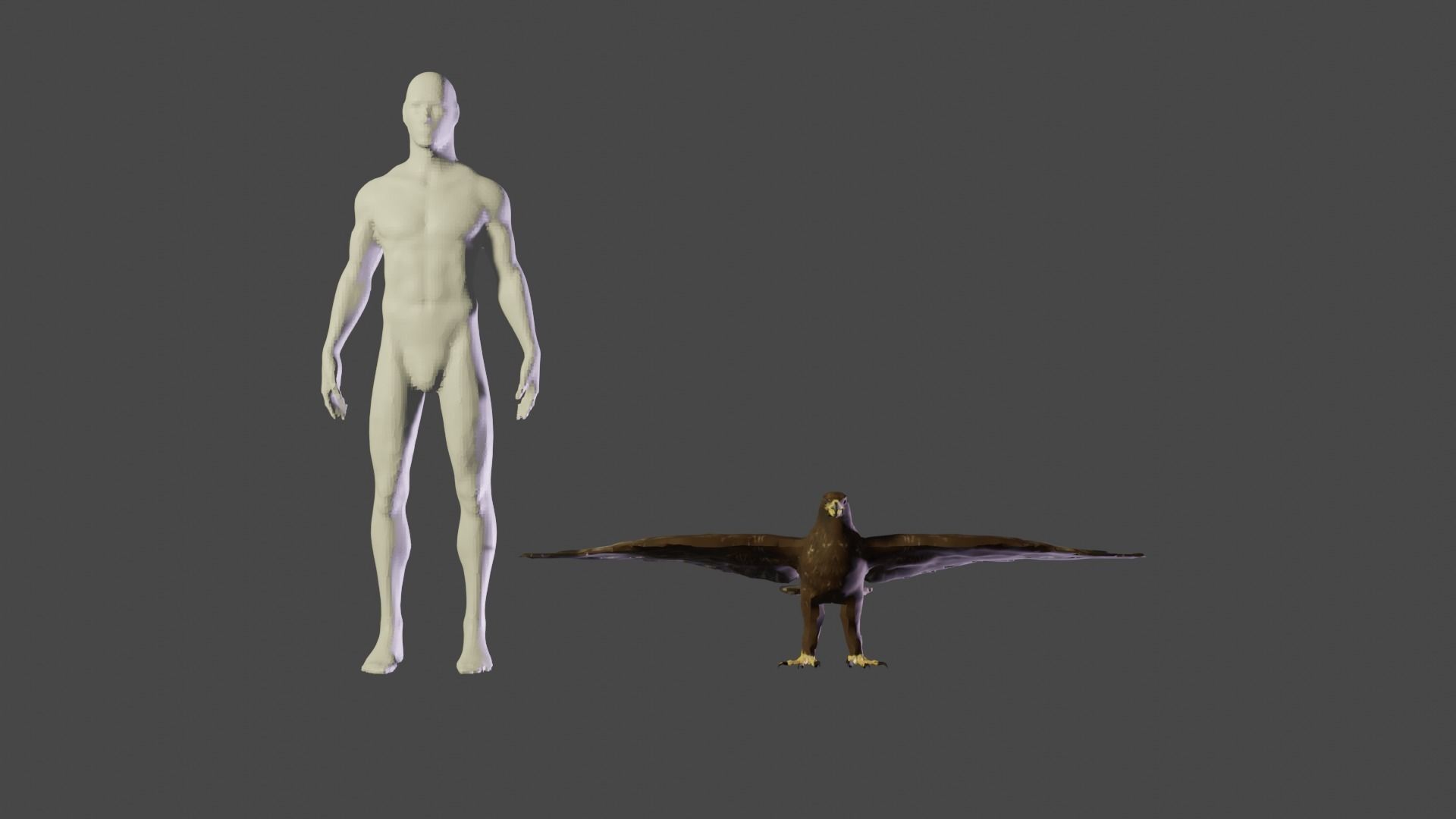 Golden Eagle Low Polly Low-poly 3D model_5