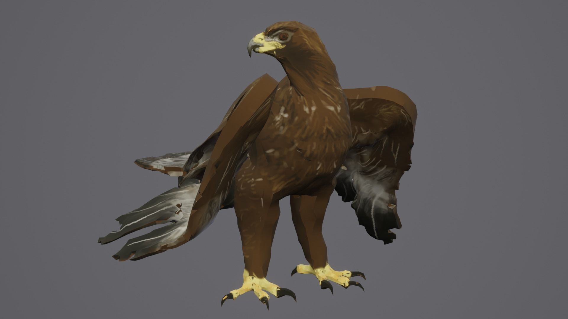 Golden Eagle Low Polly Low-poly 3D model_8
