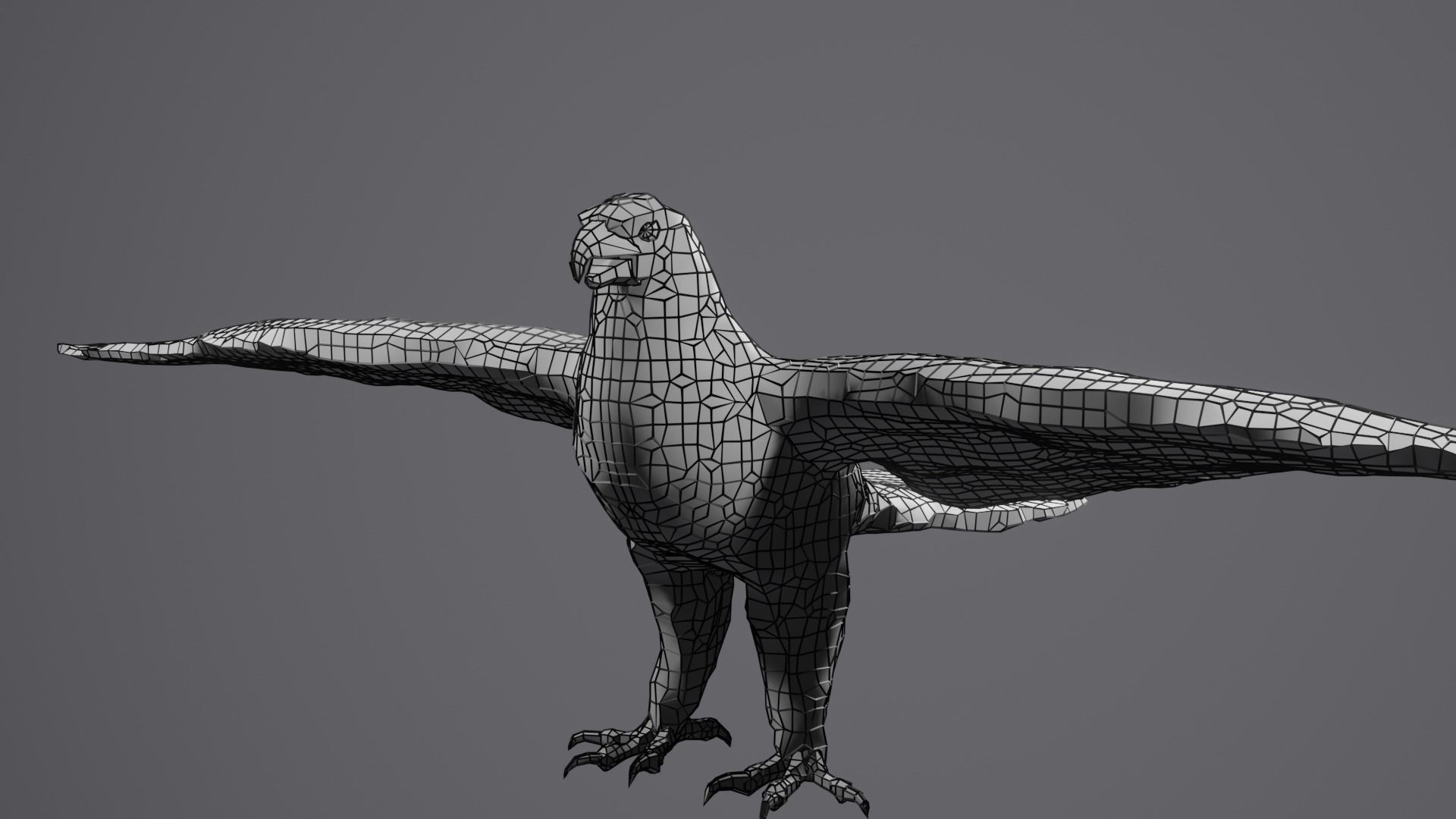 Golden Eagle Low Polly Low-poly 3D model_13