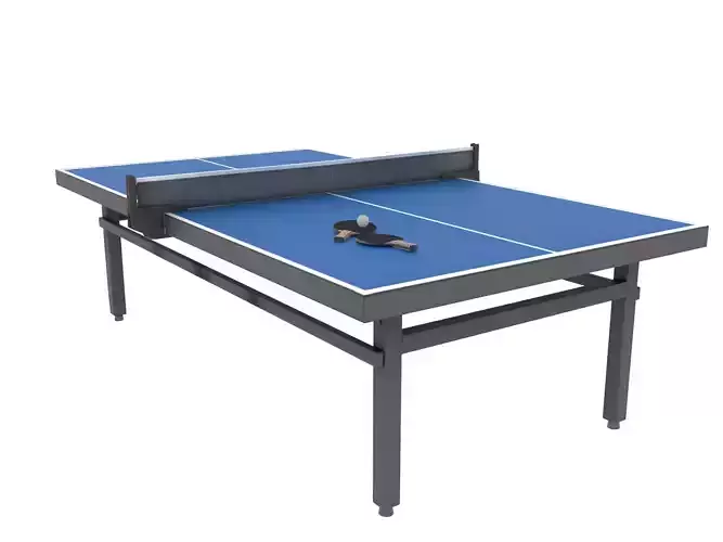Pin Pong