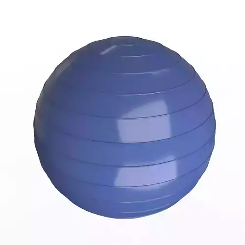 Swiss Ball