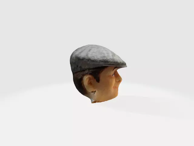 delboy head only 3D print model