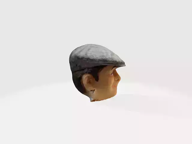 delboy head only 3D print model