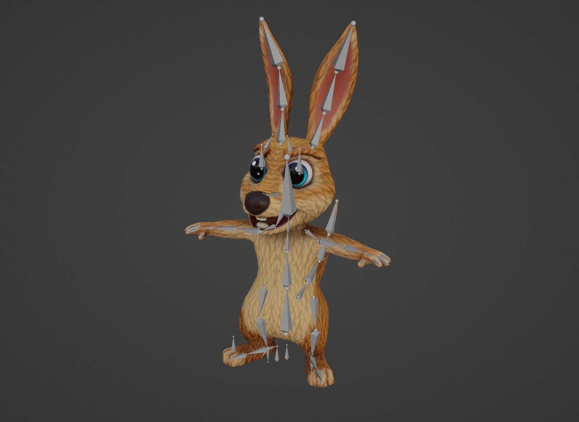 Cartoon Kangaroo Animated 3D Model Low-poly 3D model_20