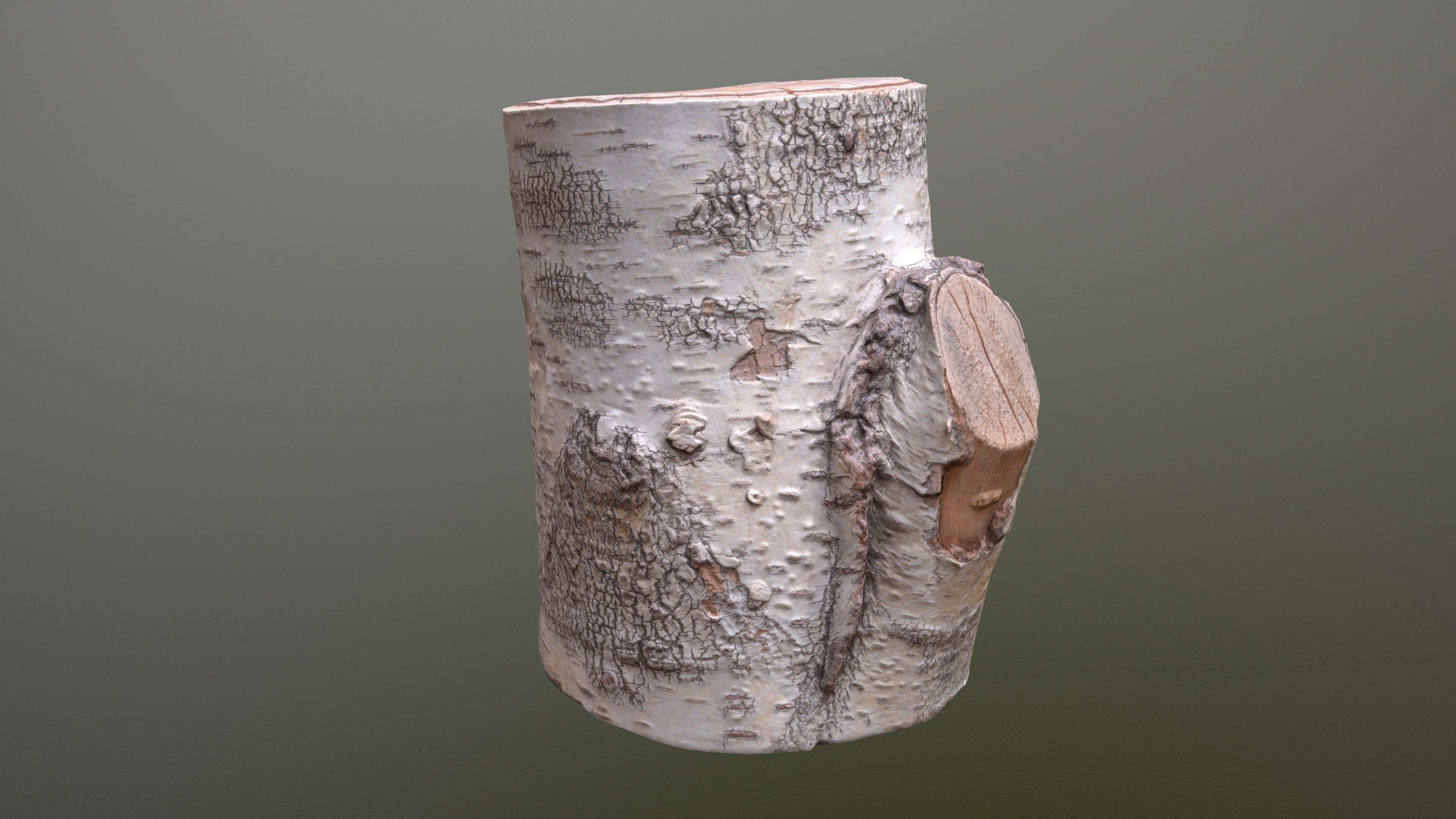 Birch Tree Stump Low-poly 3D model_3