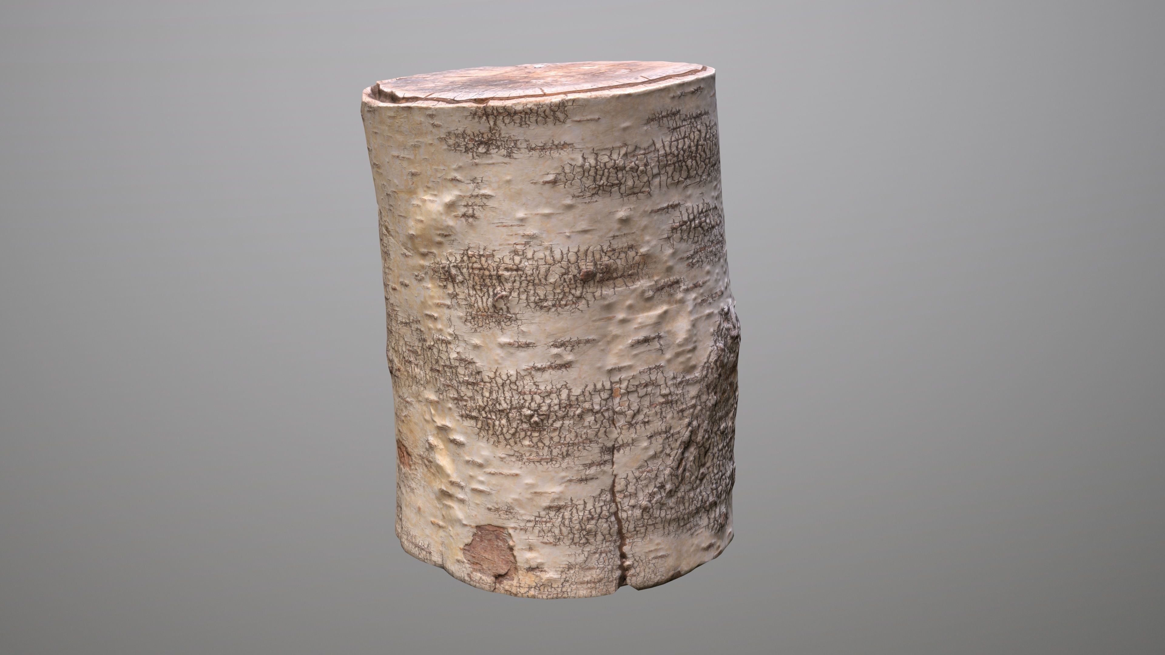 Birch Tree Stump Low-poly 3D model_4