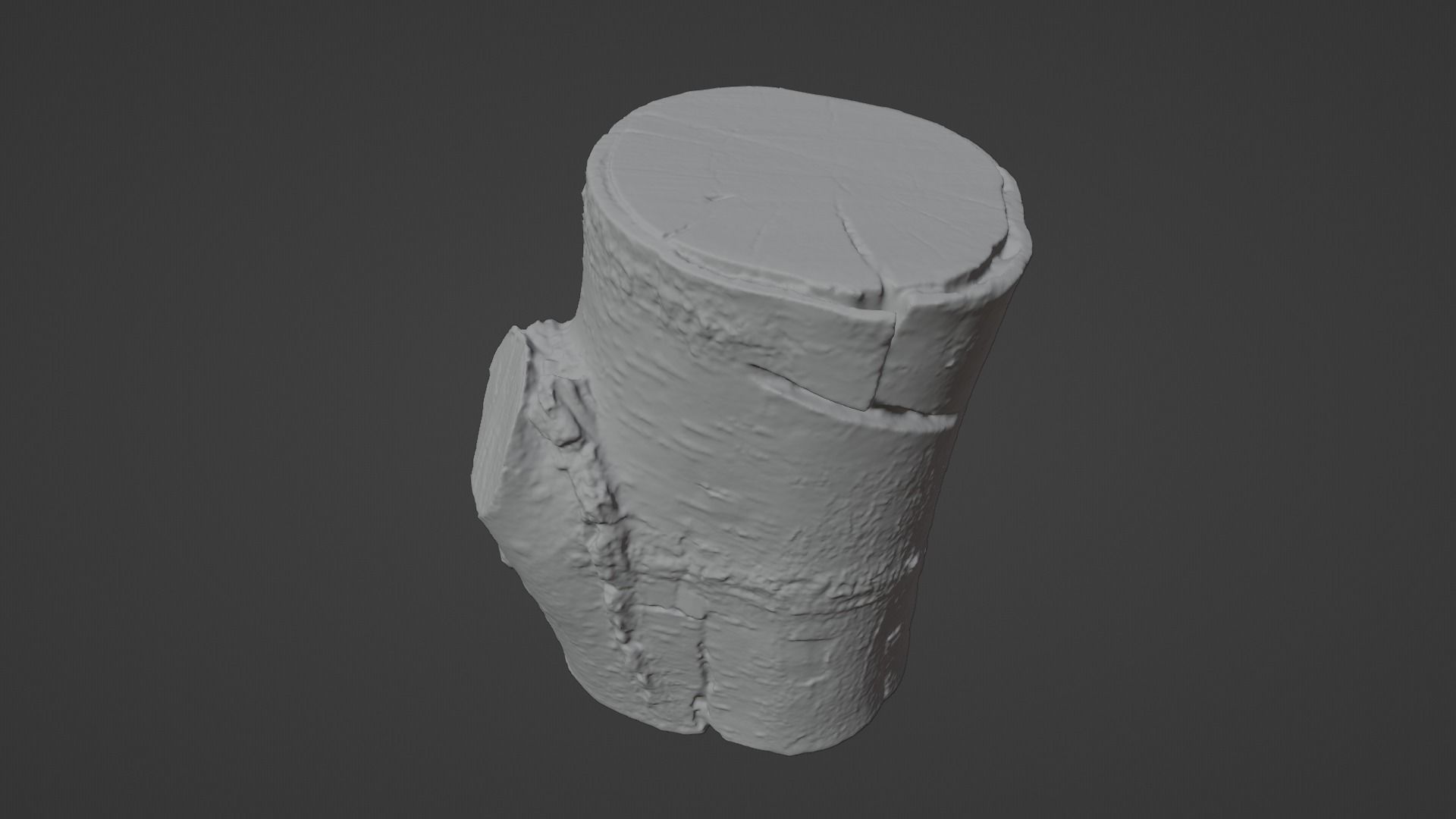 Birch Tree Stump Low-poly 3D model_23