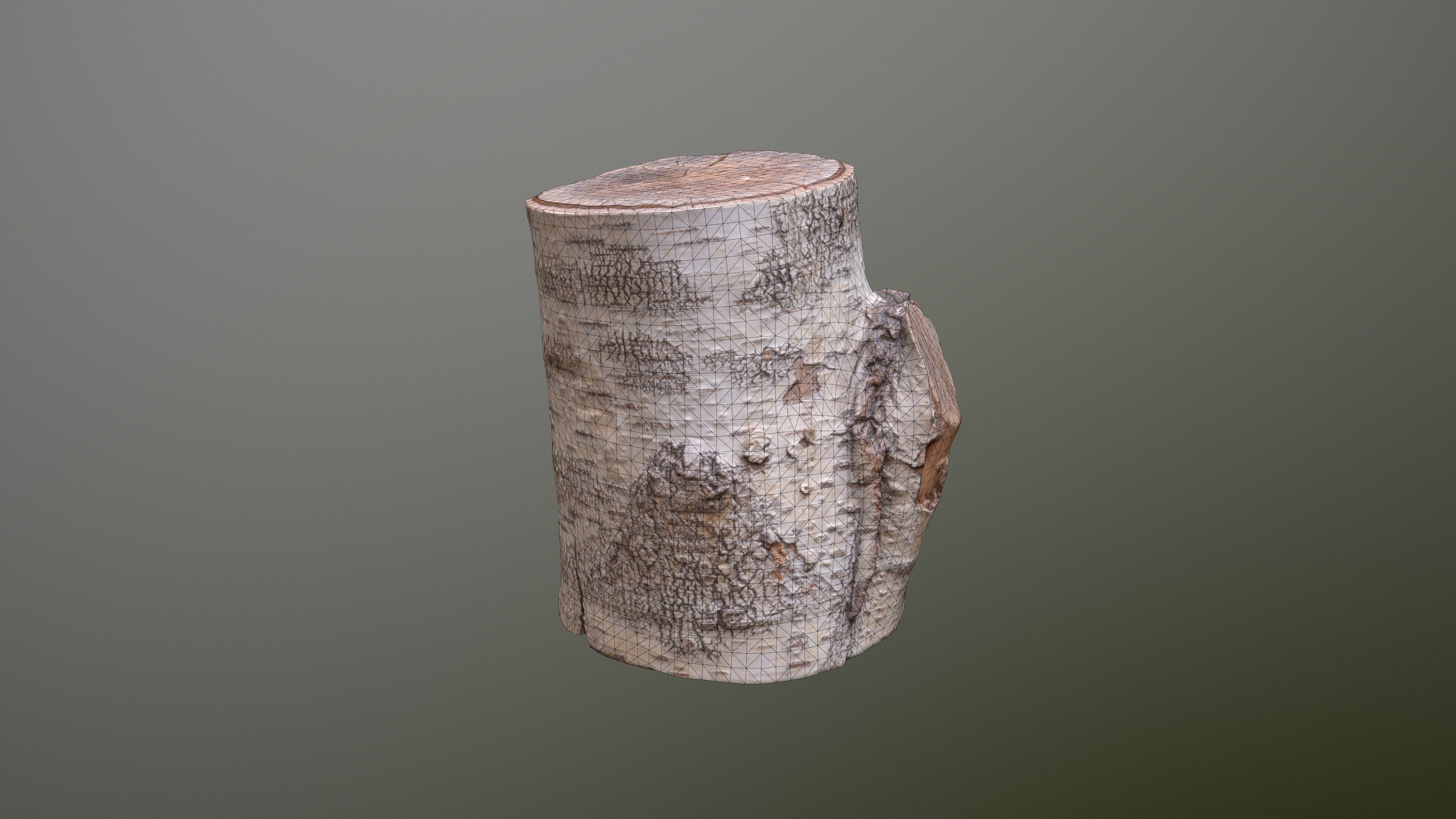 Birch Tree Stump Low-poly 3D model_15