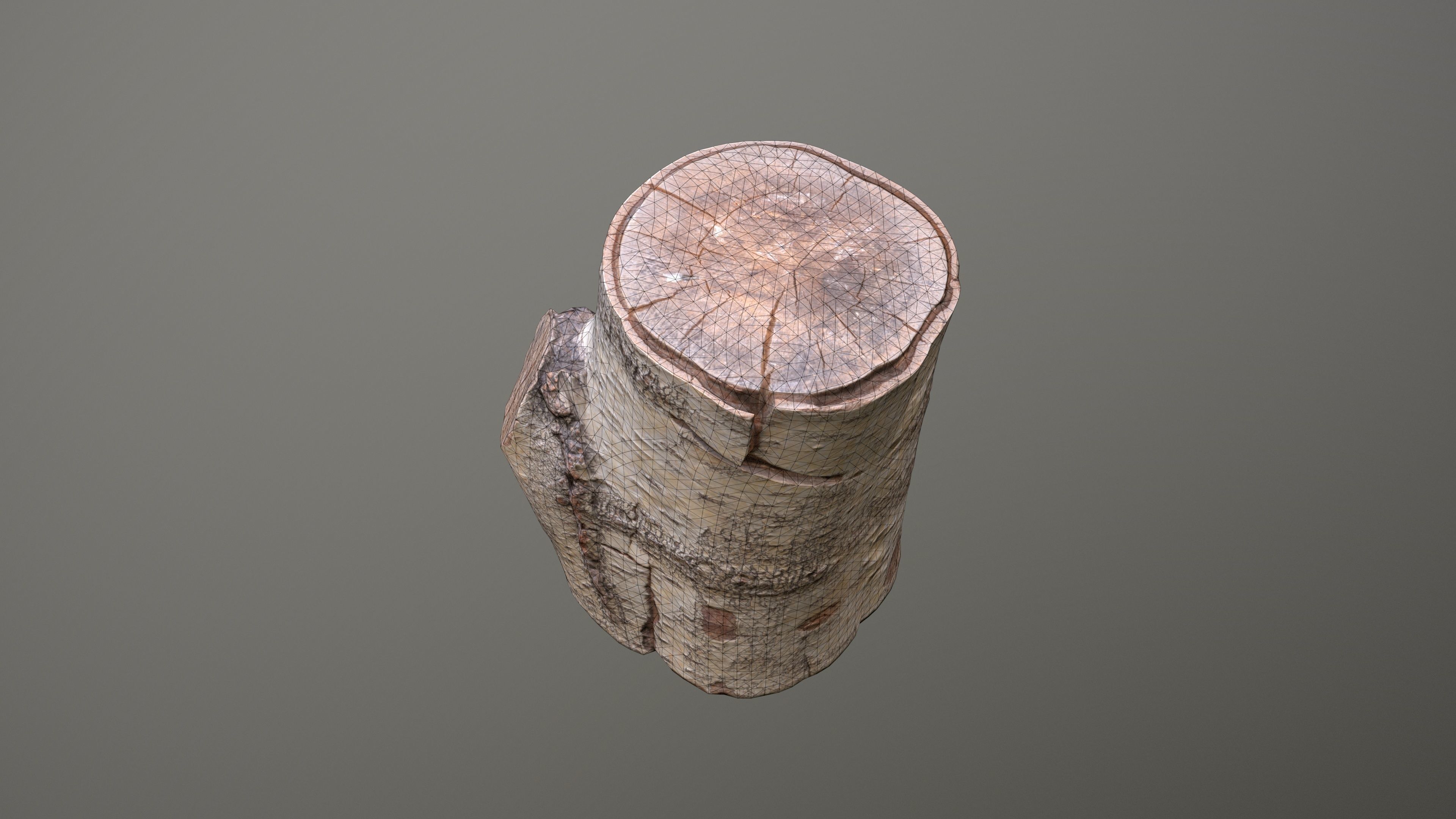 Birch Tree Stump Low-poly 3D model_17