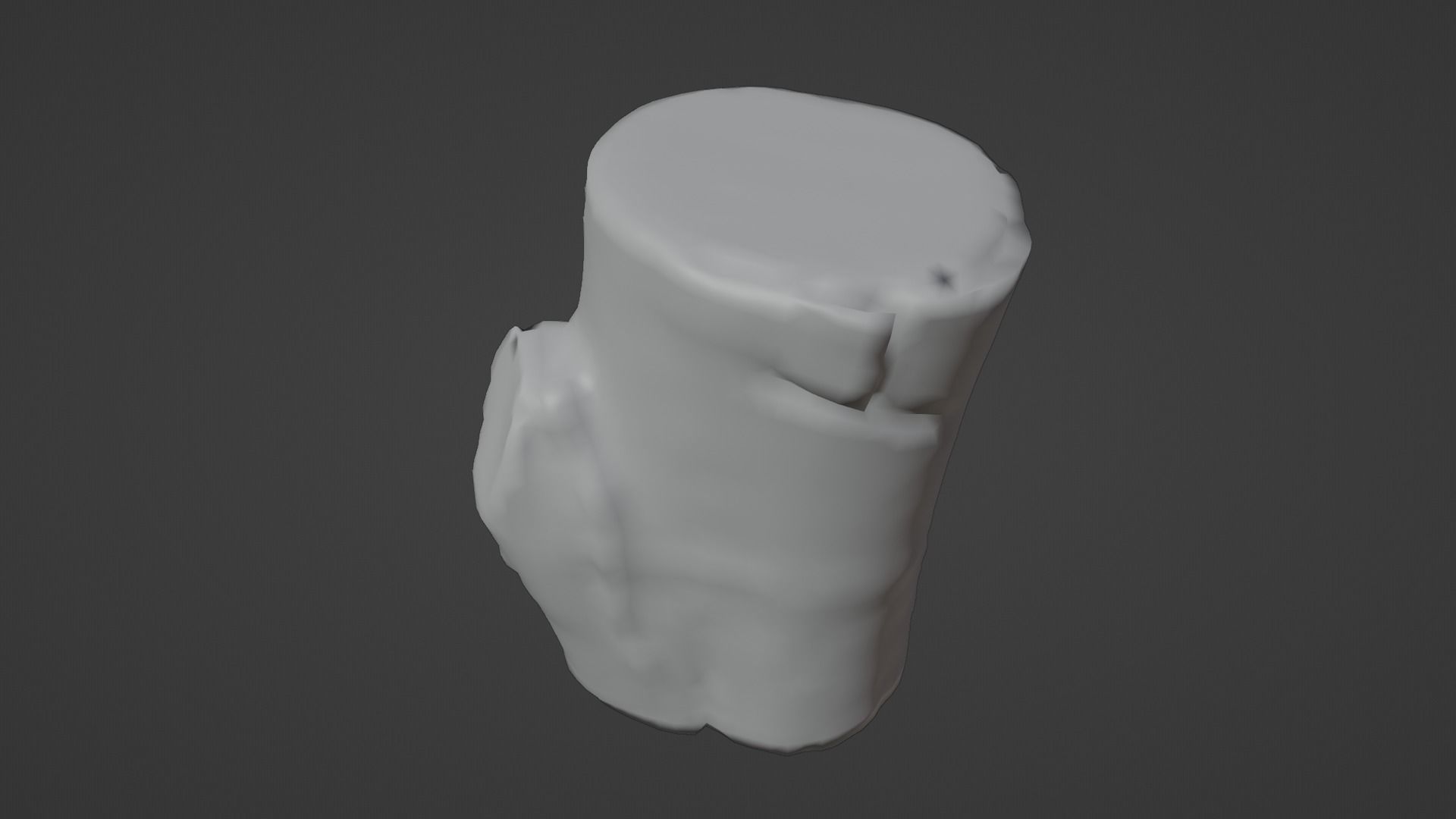 Birch Tree Stump Low-poly 3D model_24