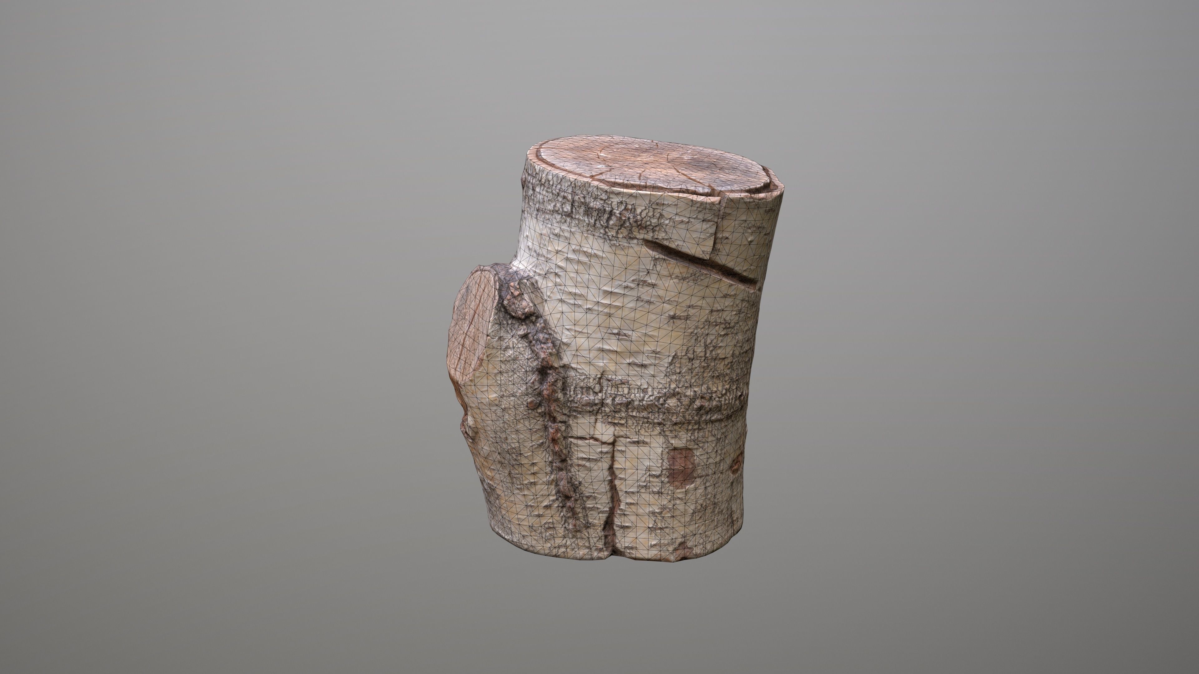 Birch Tree Stump Low-poly 3D model_16
