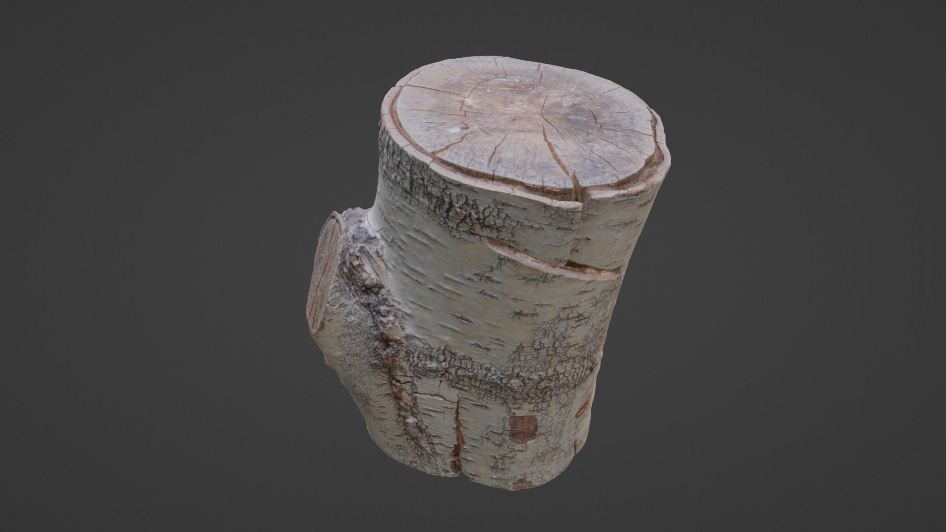 Birch Tree Stump Low-poly 3D model_22