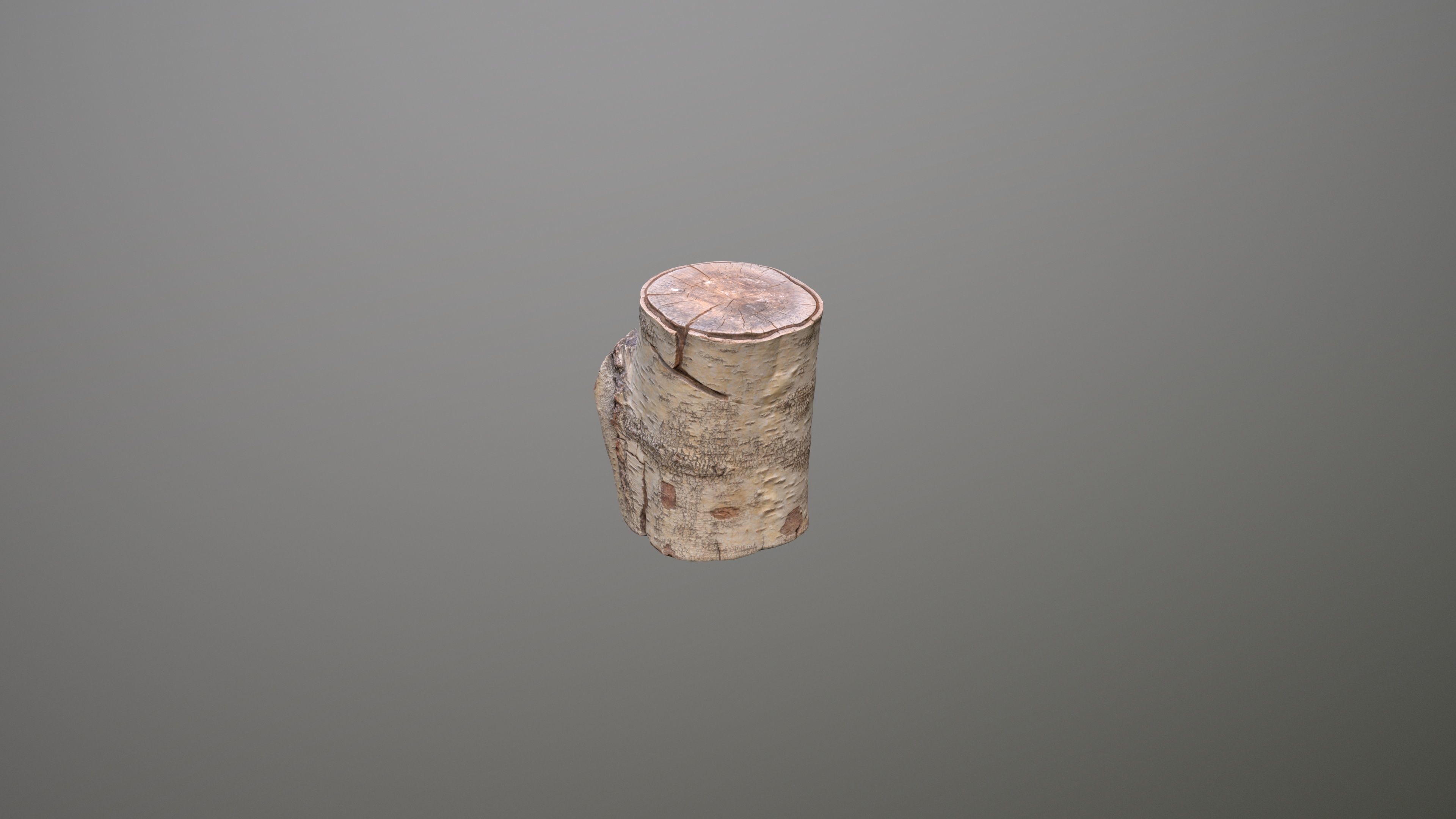 Birch Tree Stump Low-poly 3D model_11