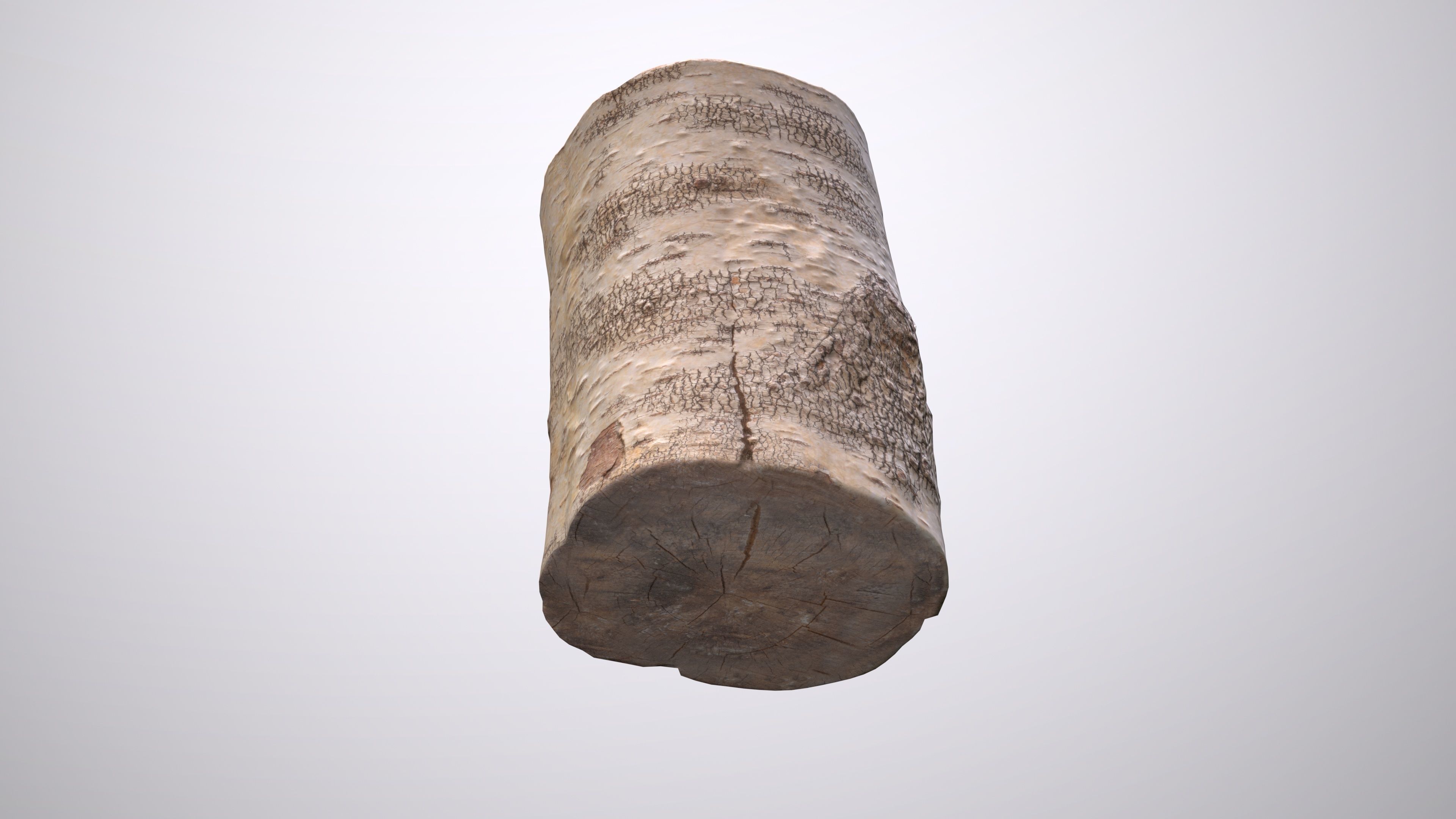 Birch Tree Stump Low-poly 3D model_5