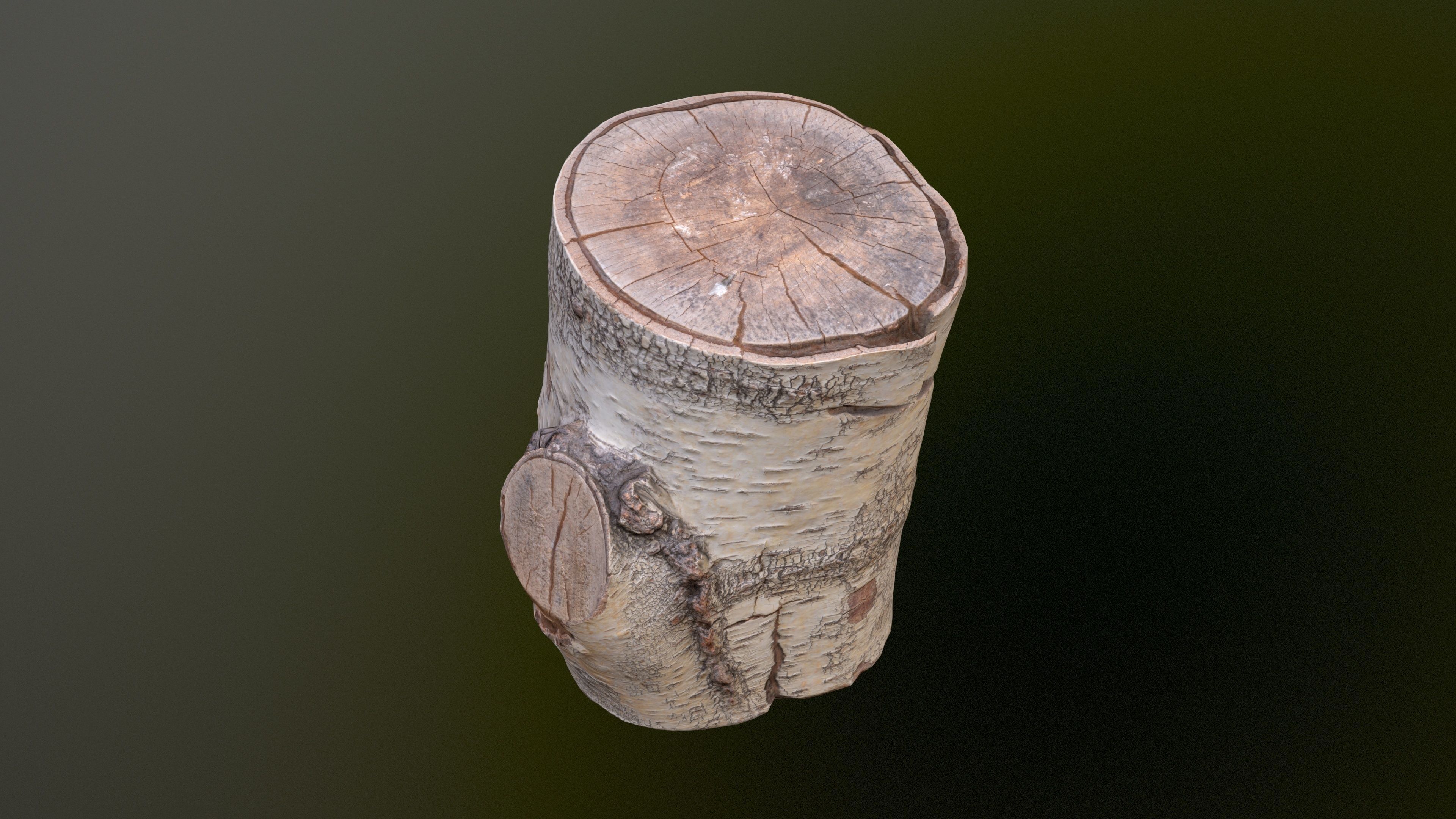Birch Tree Stump Low-poly 3D model_6