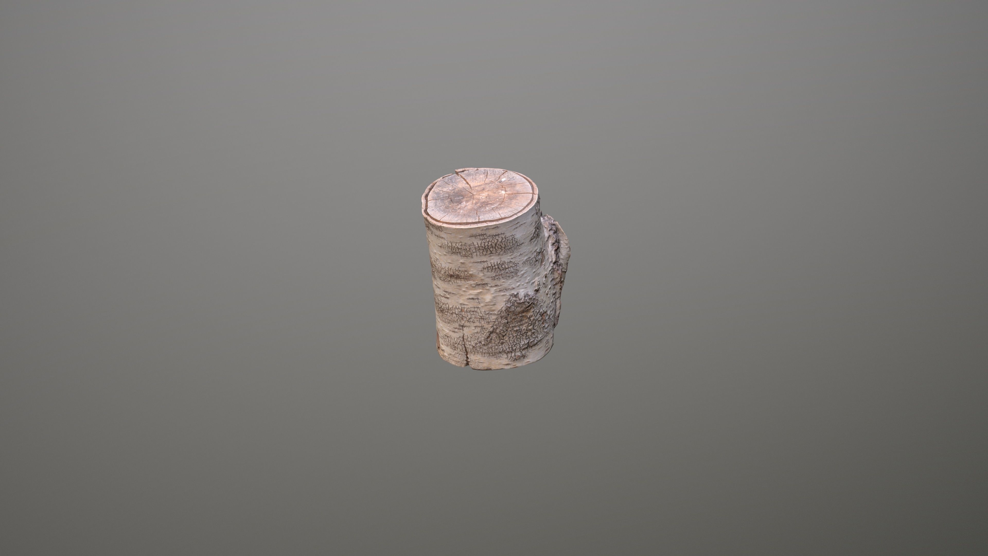 Birch Tree Stump Low-poly 3D model_12