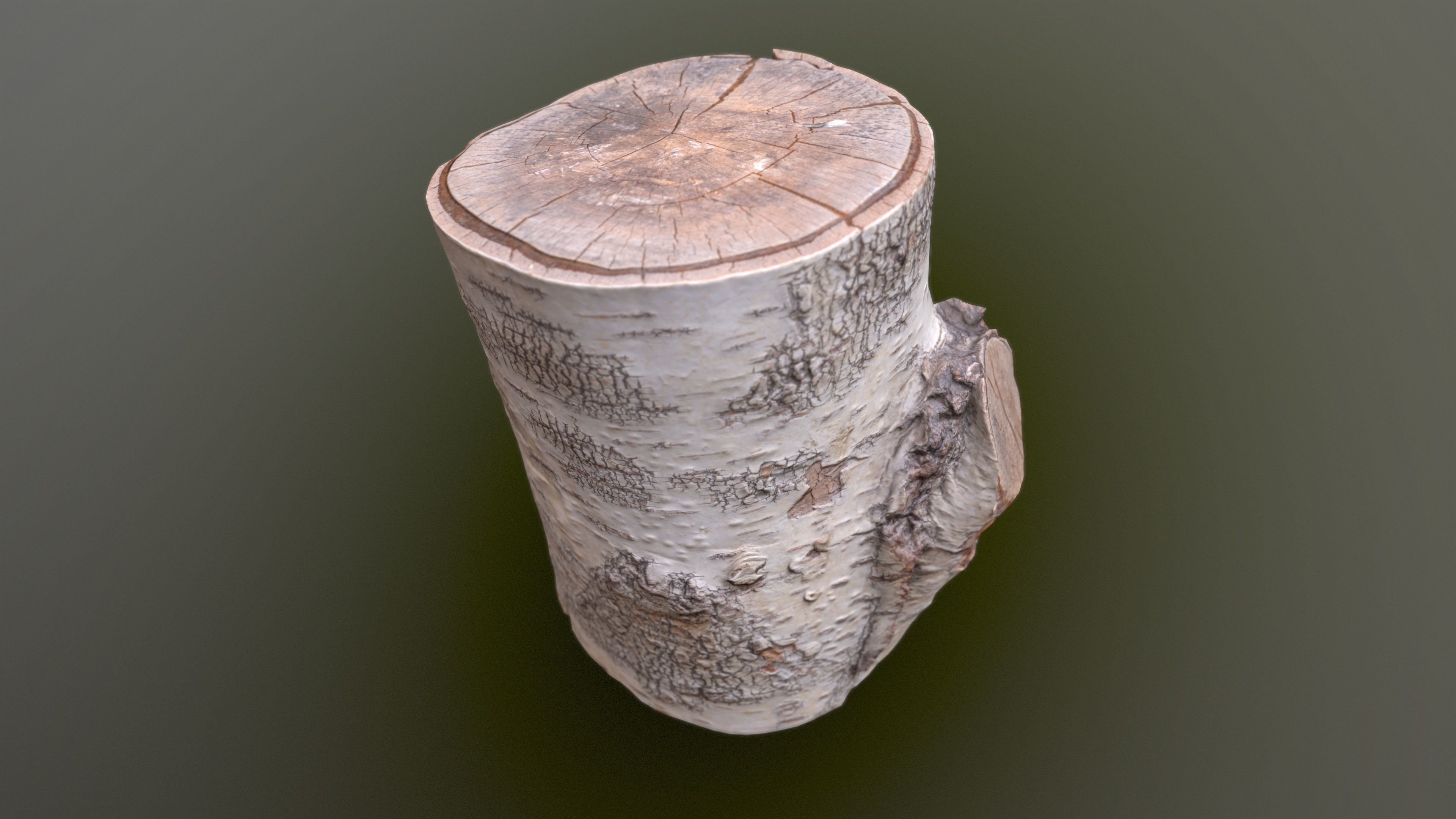 Birch Tree Stump Low-poly 3D model_19