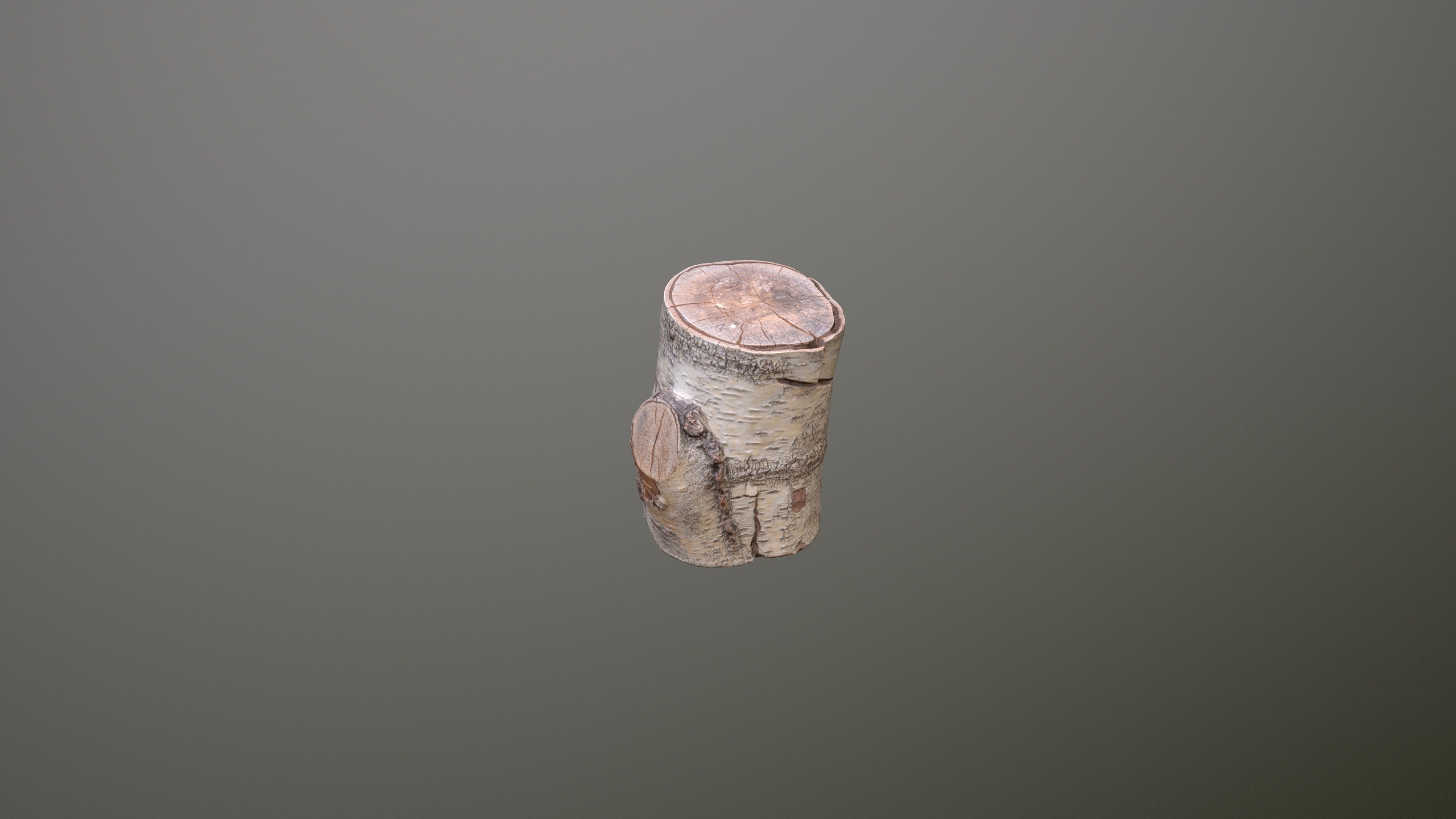 Birch Tree Stump Low-poly 3D model_10