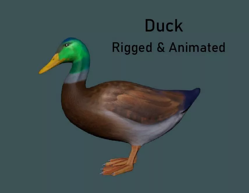 Duck Animated VFX Grace Low-poly Low-poly 3D model