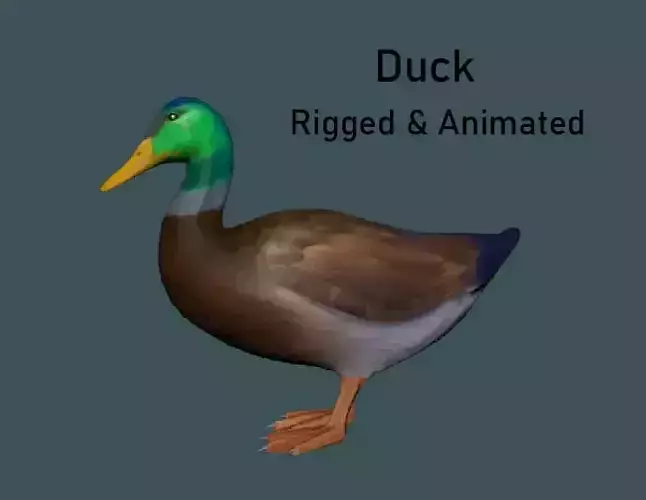 Duck Animated VFX Grace Low-poly Low-poly 3D model