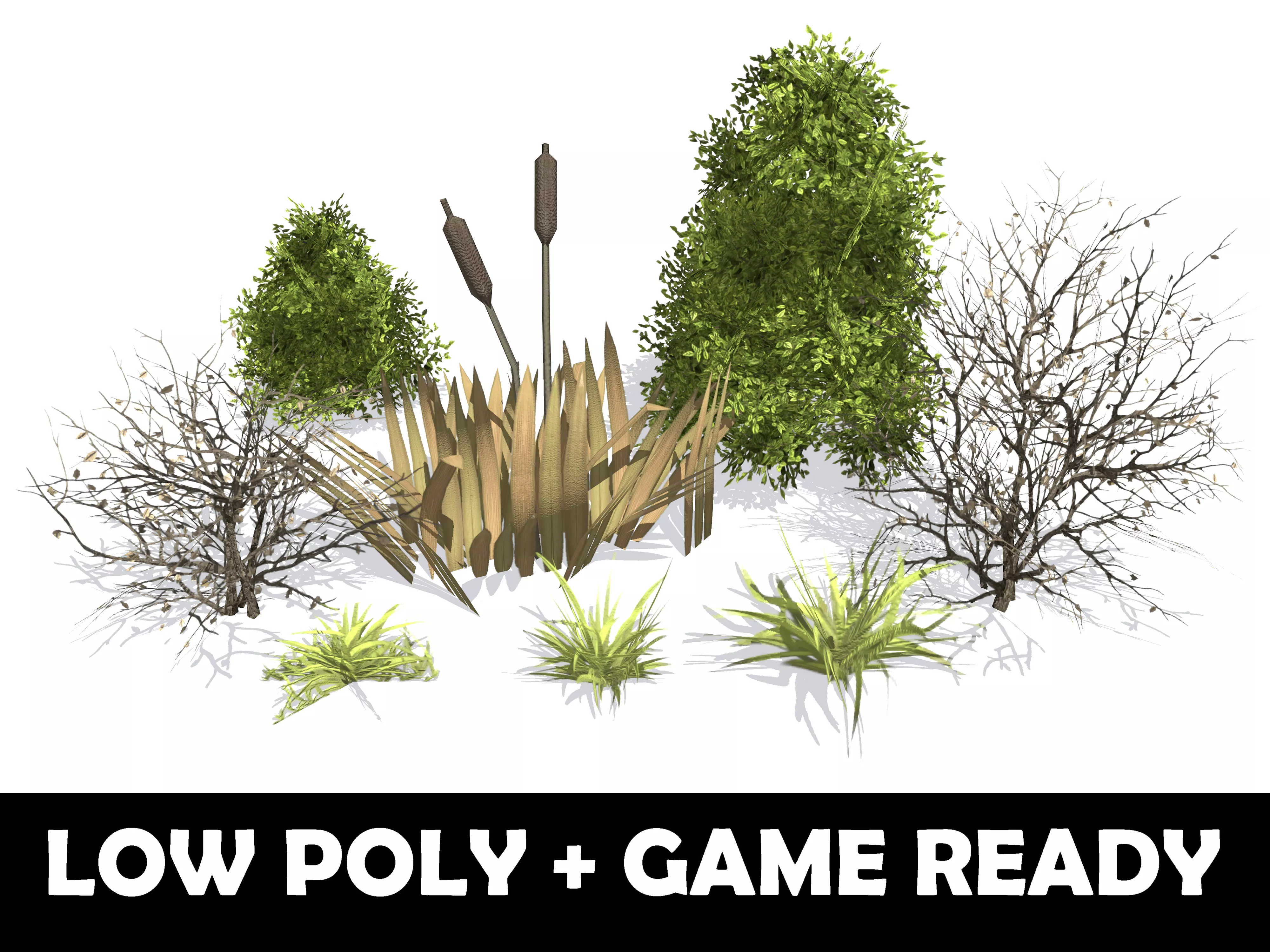 Plants - Game Ready cattail reeds Low-poly 3D model_0