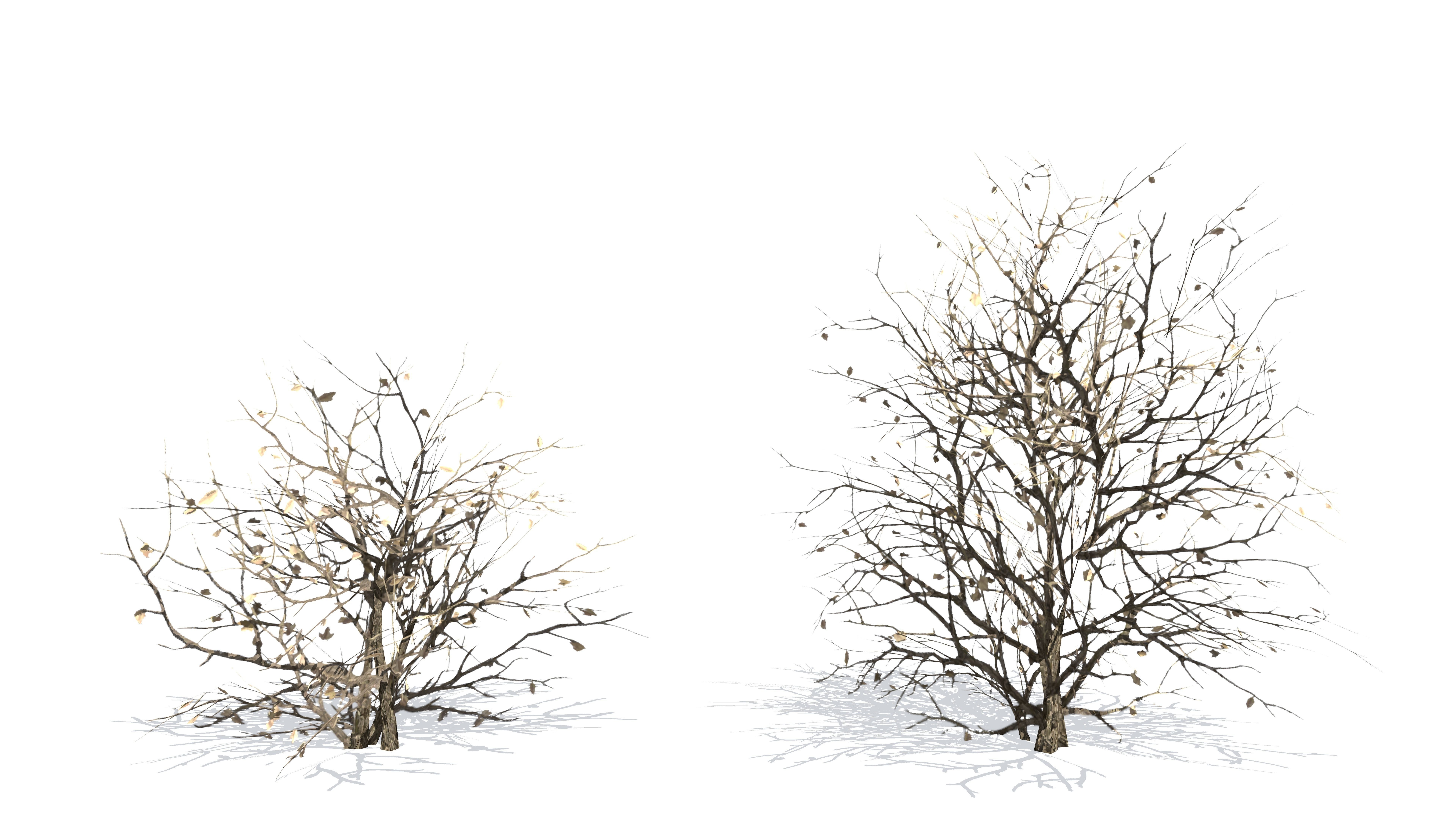 Plants - Game Ready cattail reeds Low-poly 3D model_5