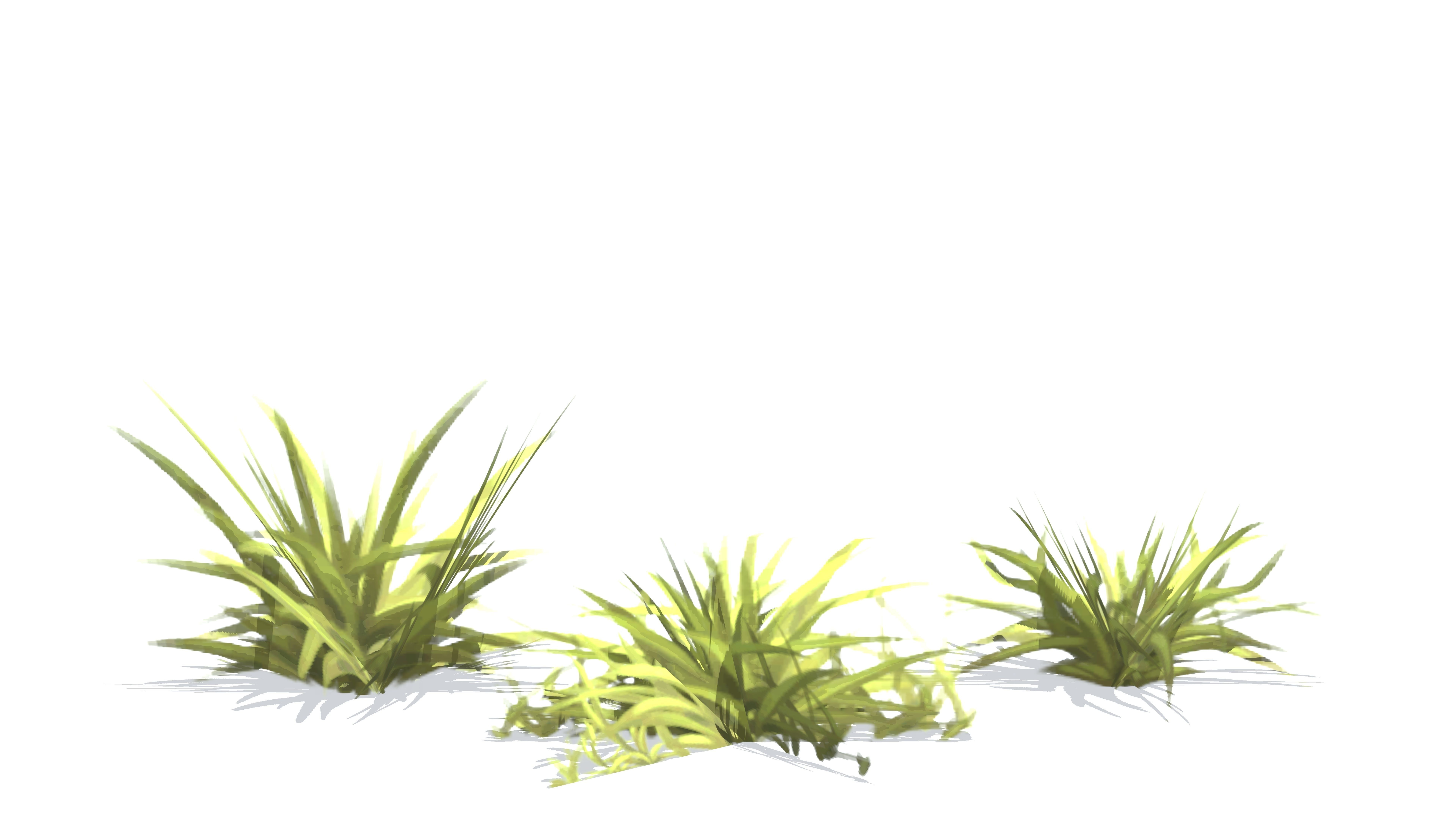Plants - Game Ready cattail reeds Low-poly 3D model_11