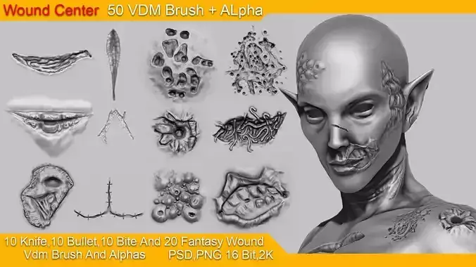 50 Wound Brushes and Alphas 3D model