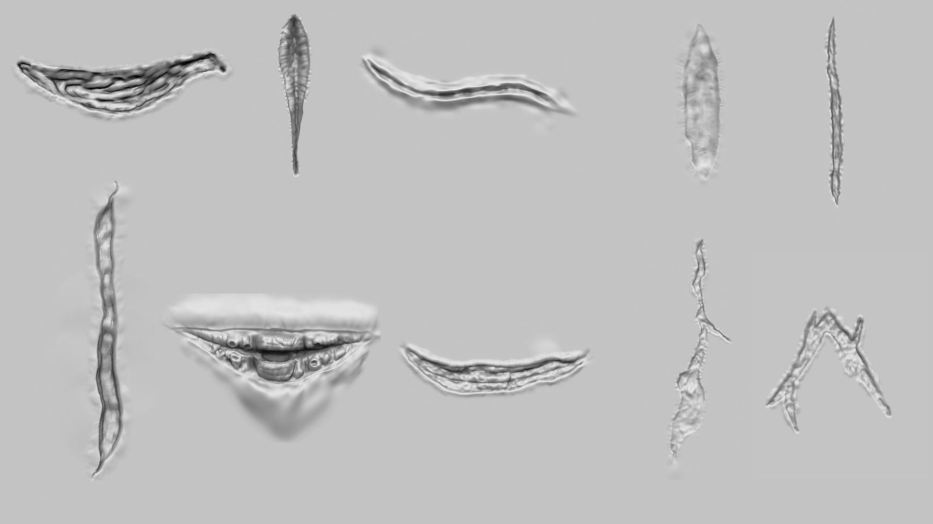 50 Wound Brushes and Alphas 3D model_3