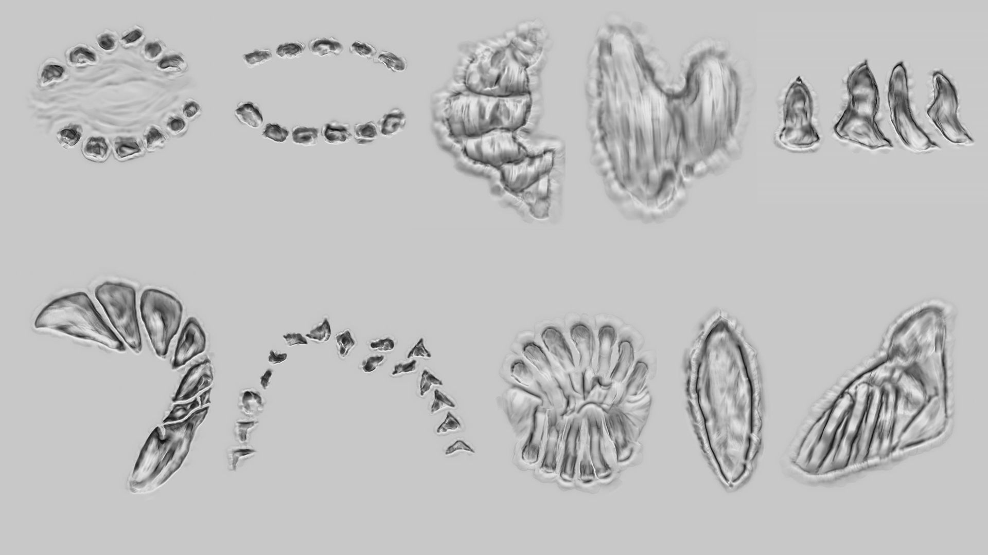 50 Wound Brushes and Alphas 3D model_5