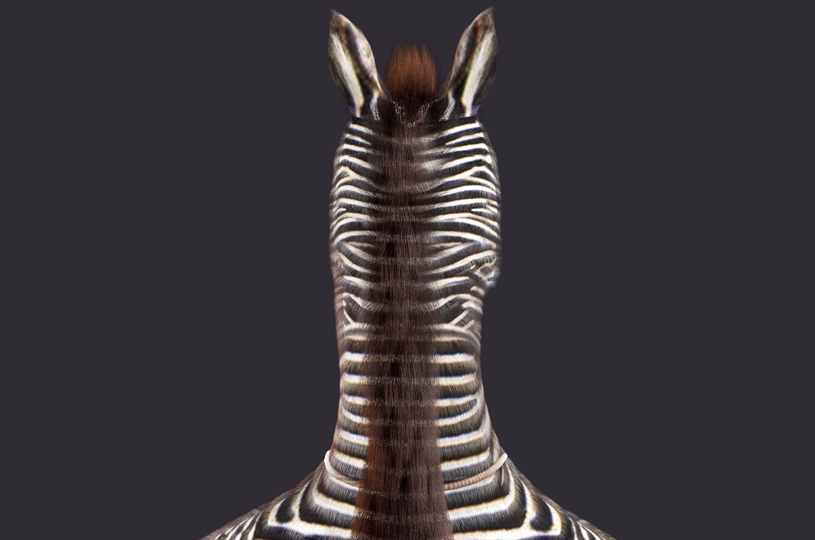 Cartoon Donkey Rigged 3D model_17
