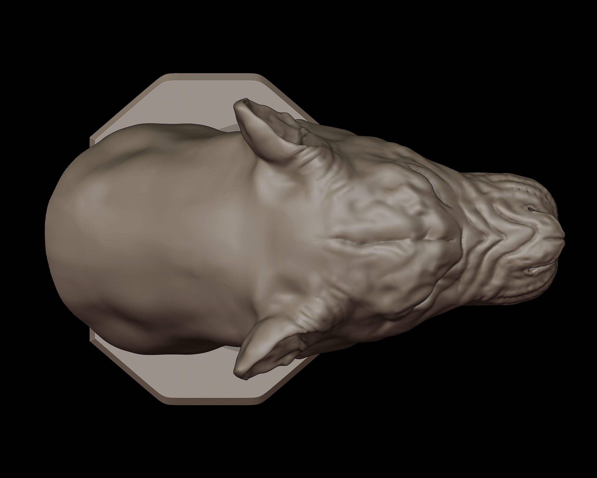 Lioness Bust 3D Print Model 3D print model_7