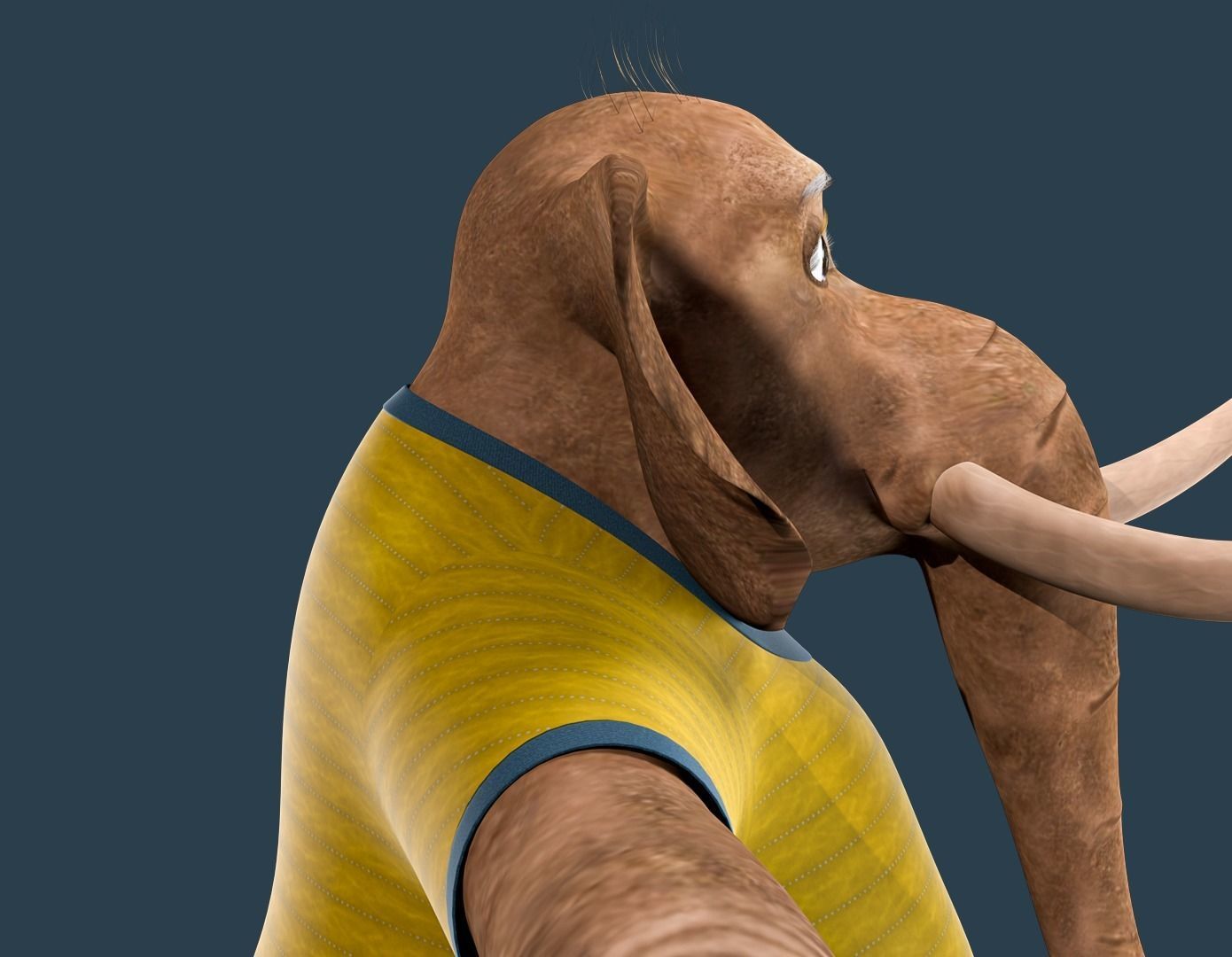 Cartoon Elephant Rigged  3D model_14