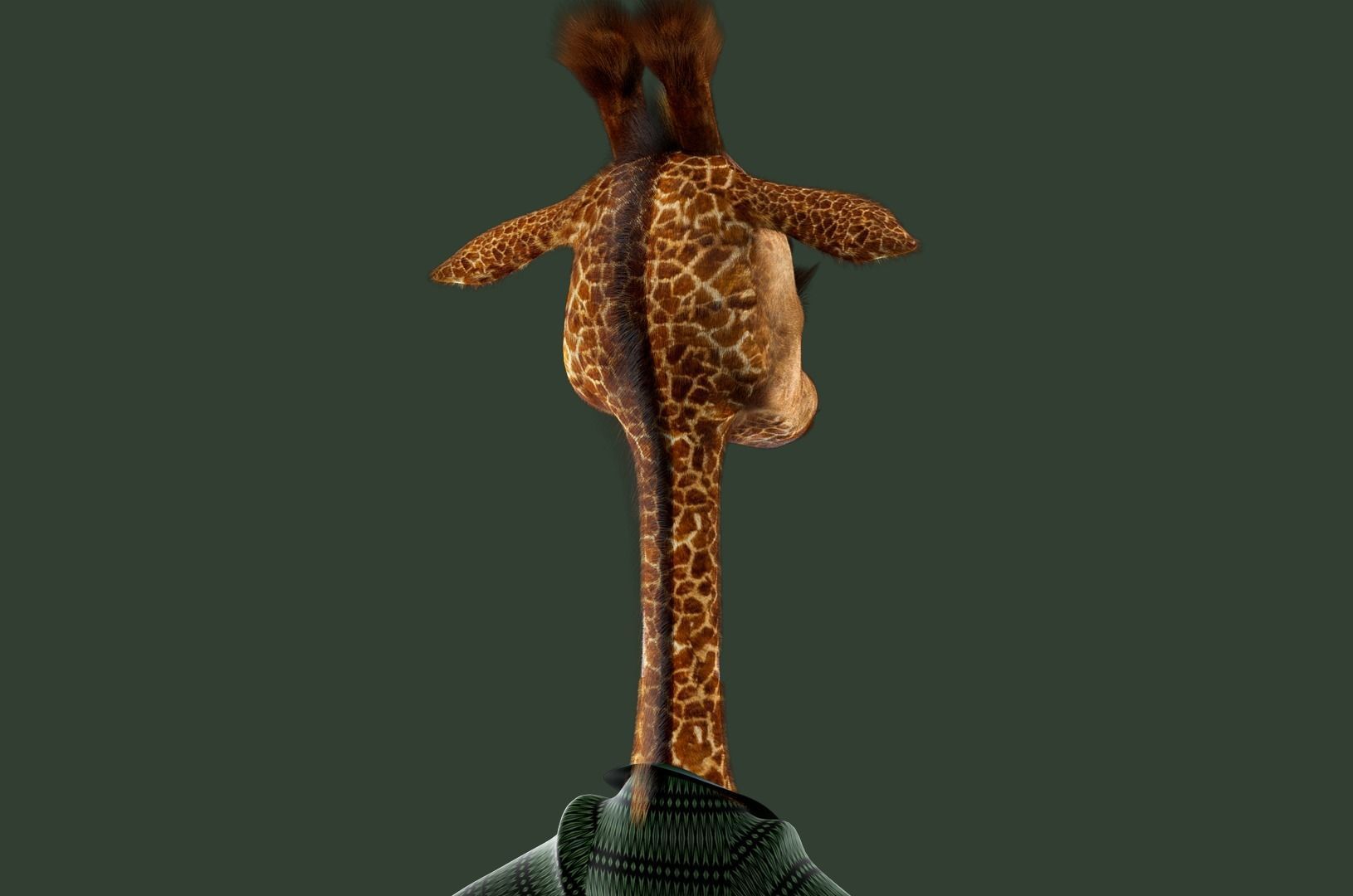 Cartoon Giraffe Rigged 3D model_21