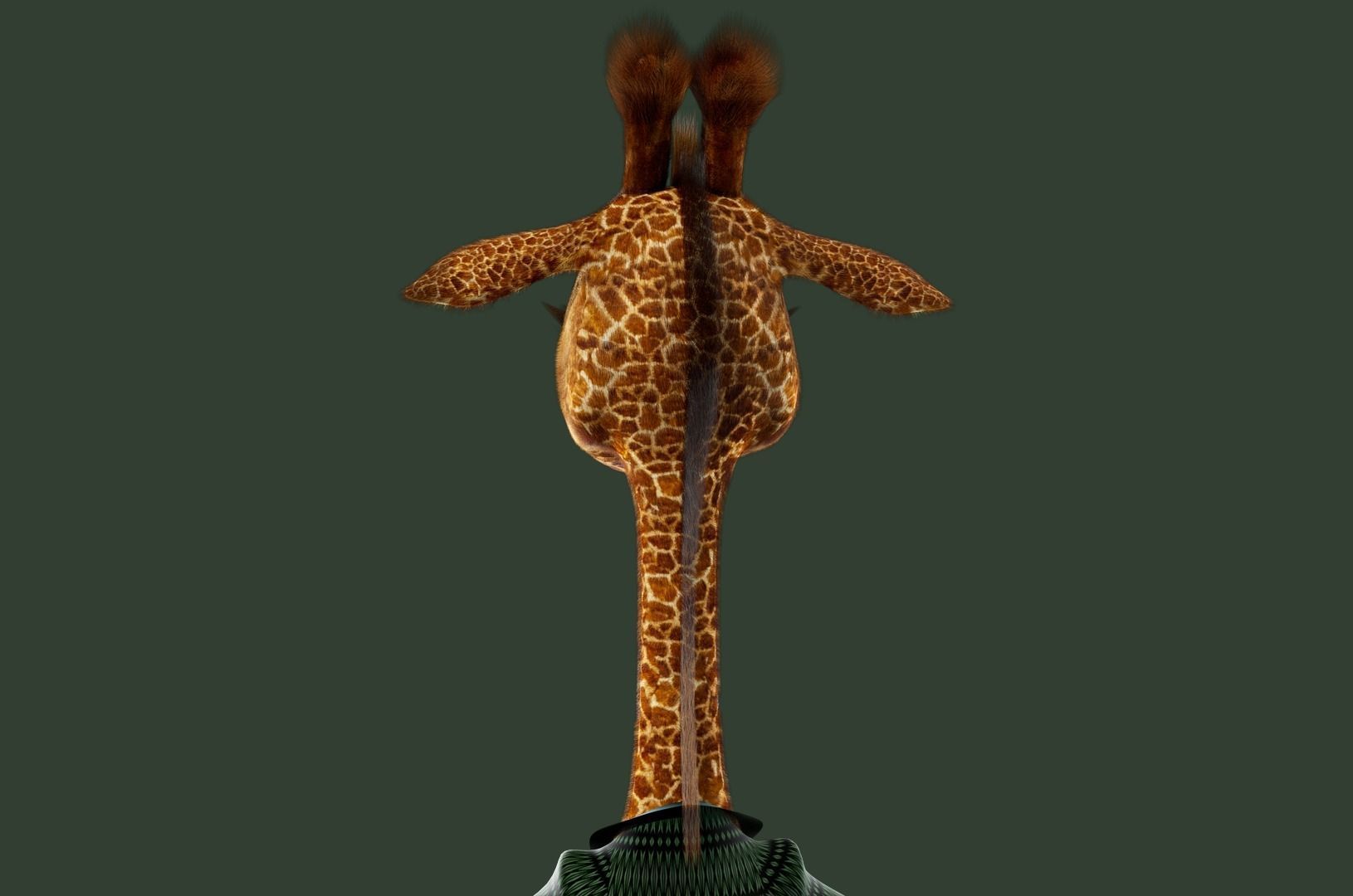 Cartoon Giraffe Rigged 3D model_20