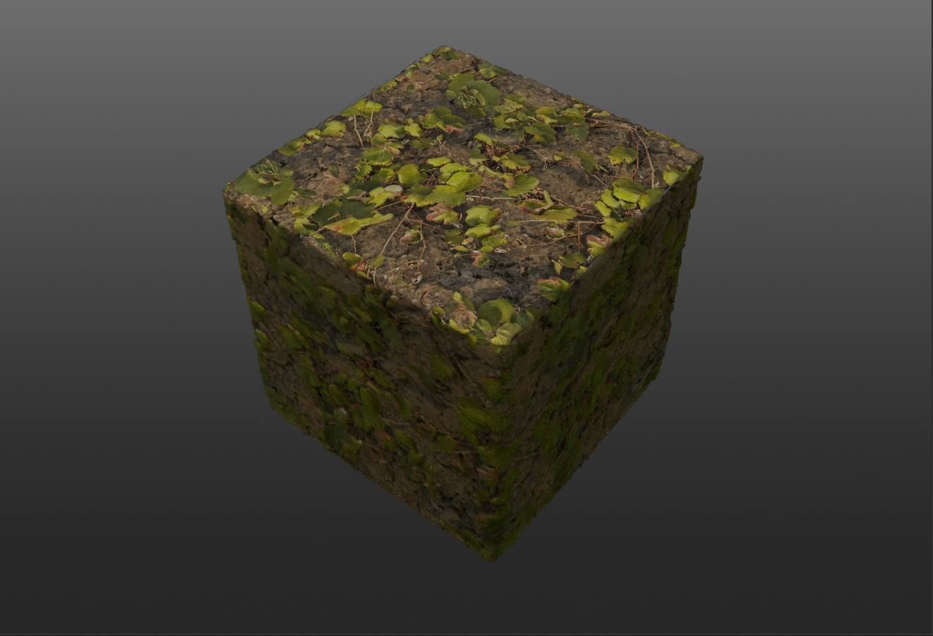 Rock Volume 3 Texture_5