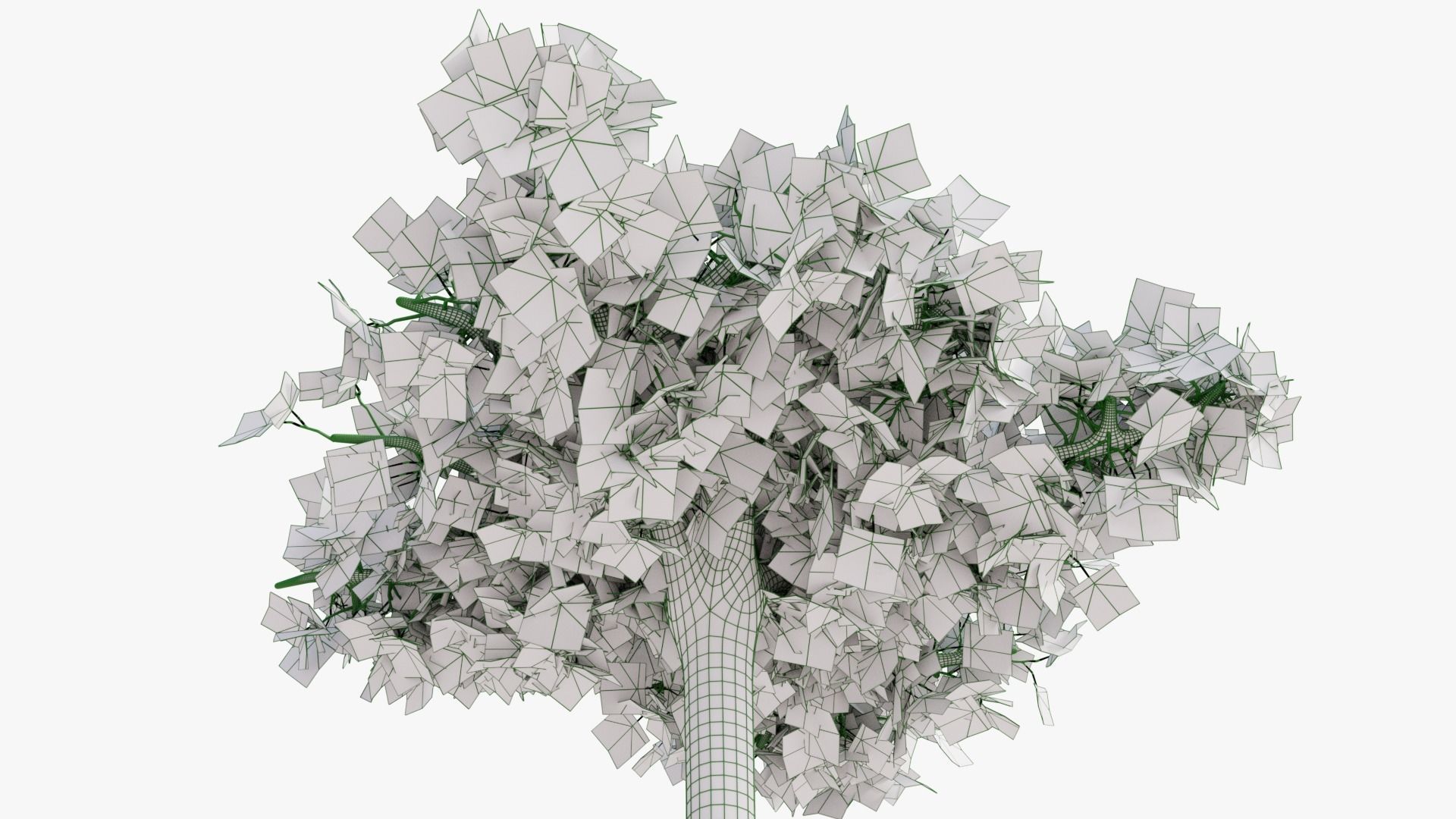 Platanus hispanica roof form 3D model_13