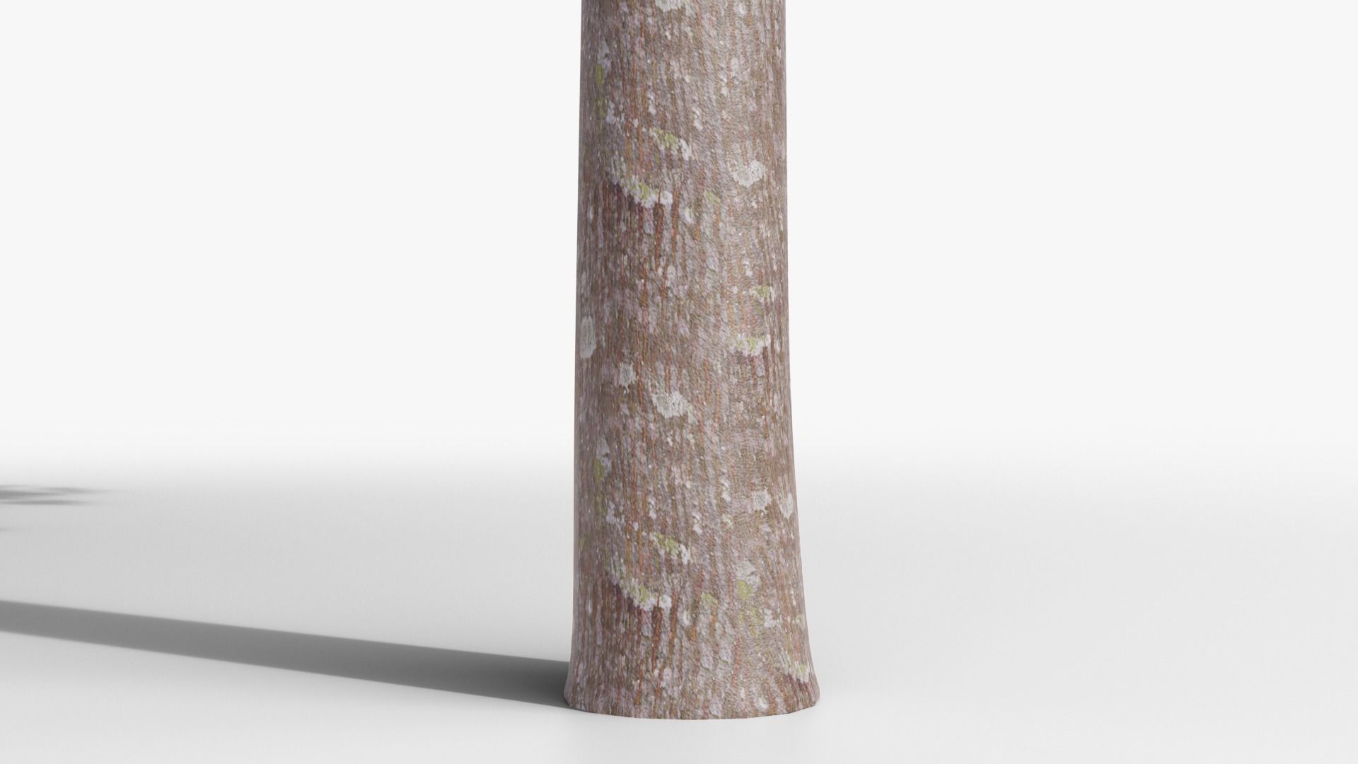 Platanus hispanica roof form 3D model_8