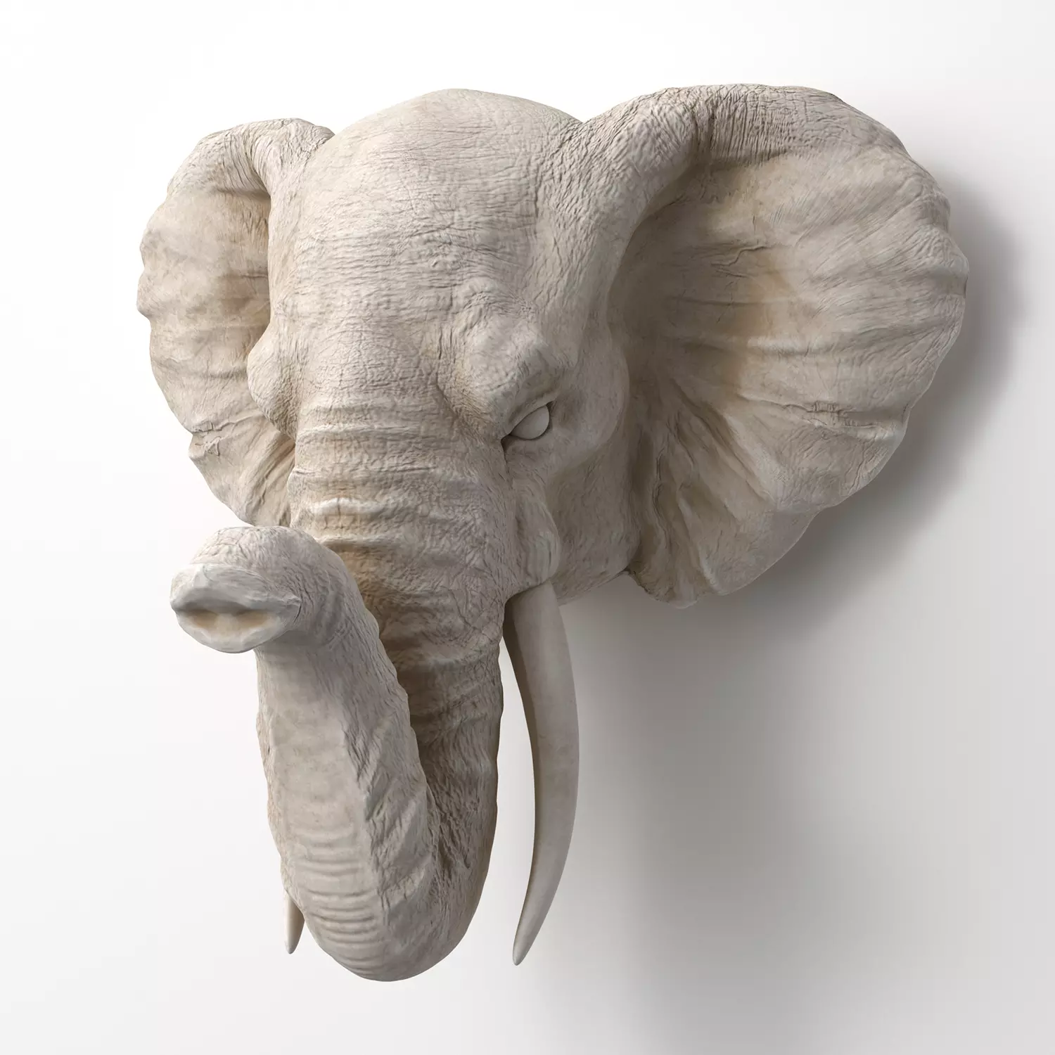 Faux Taxidermy Elephant Head Wall Mount 3D model