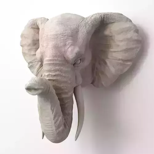Faux Taxidermy Elephant Head Wall Mount 3D model