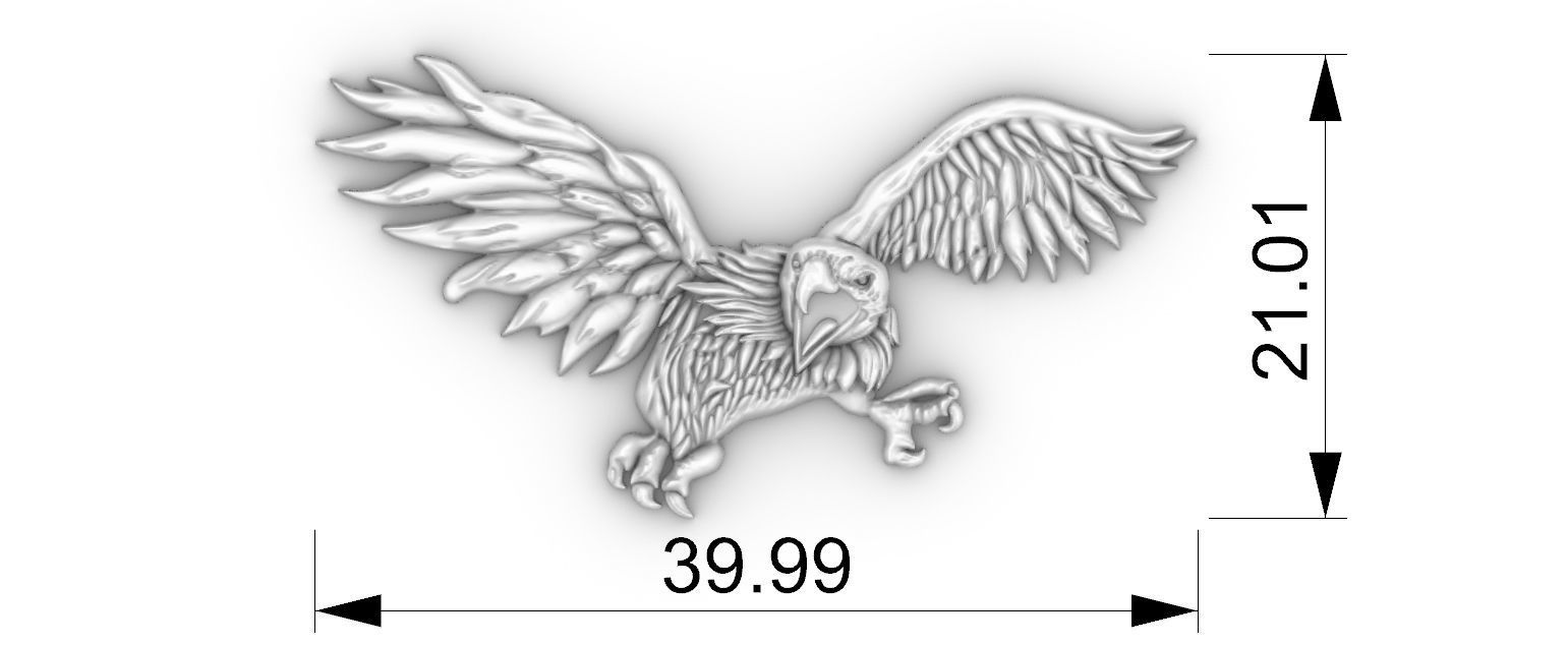 Eagle Relief 3D print model_3