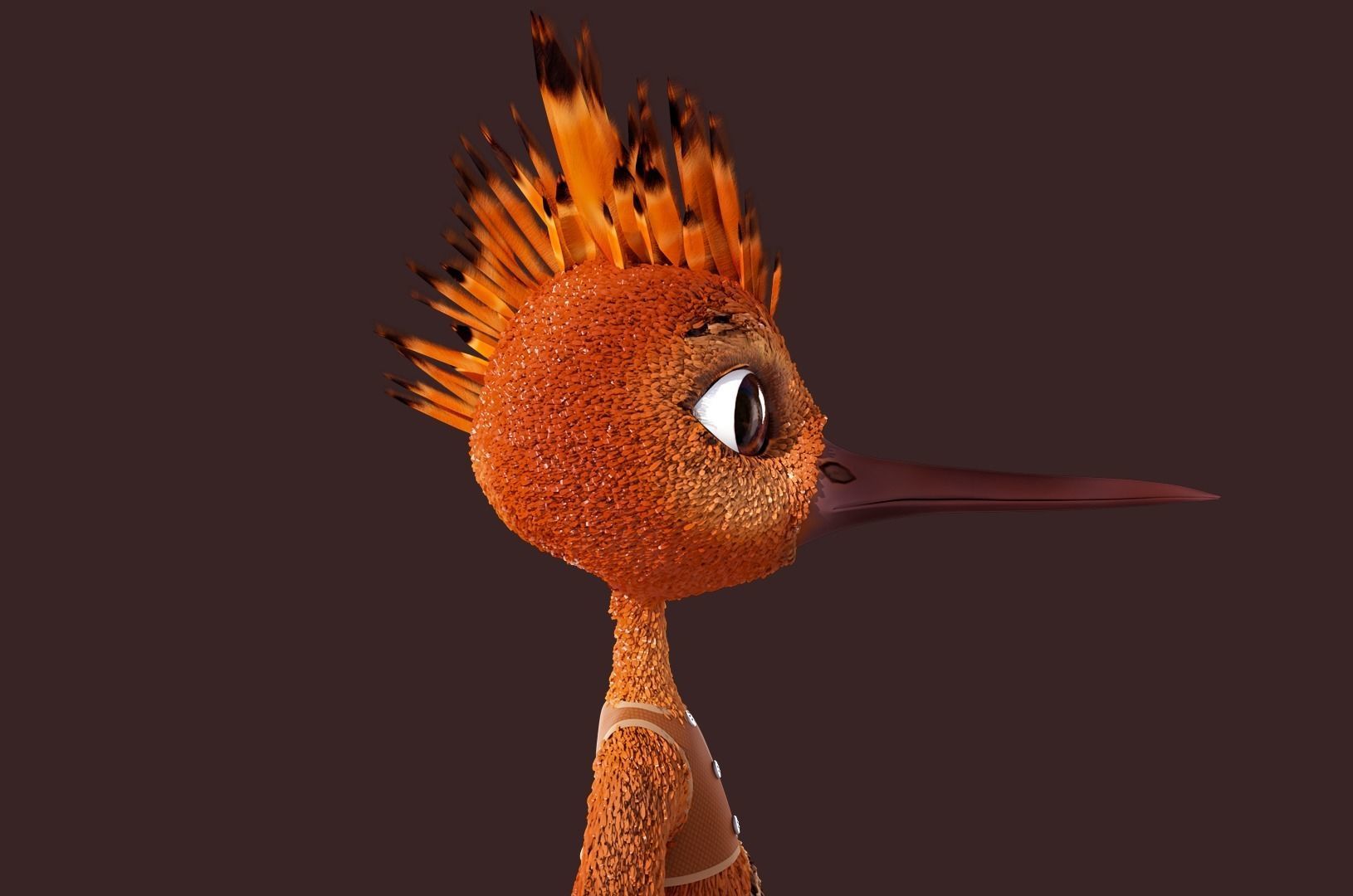 Cartoon Hoopoe Rigged 3D model_13