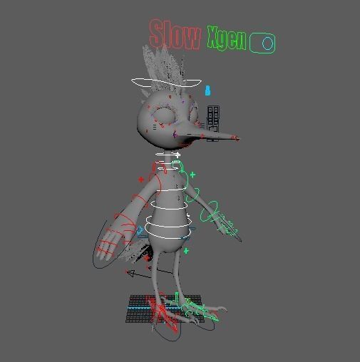 Cartoon Hoopoe Rigged 3D model_25