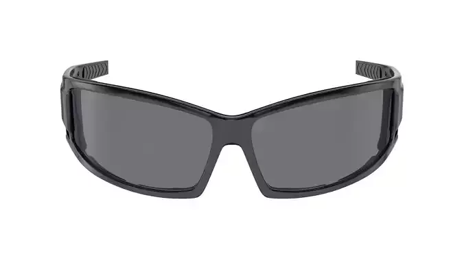 Biker Glasses 3D model