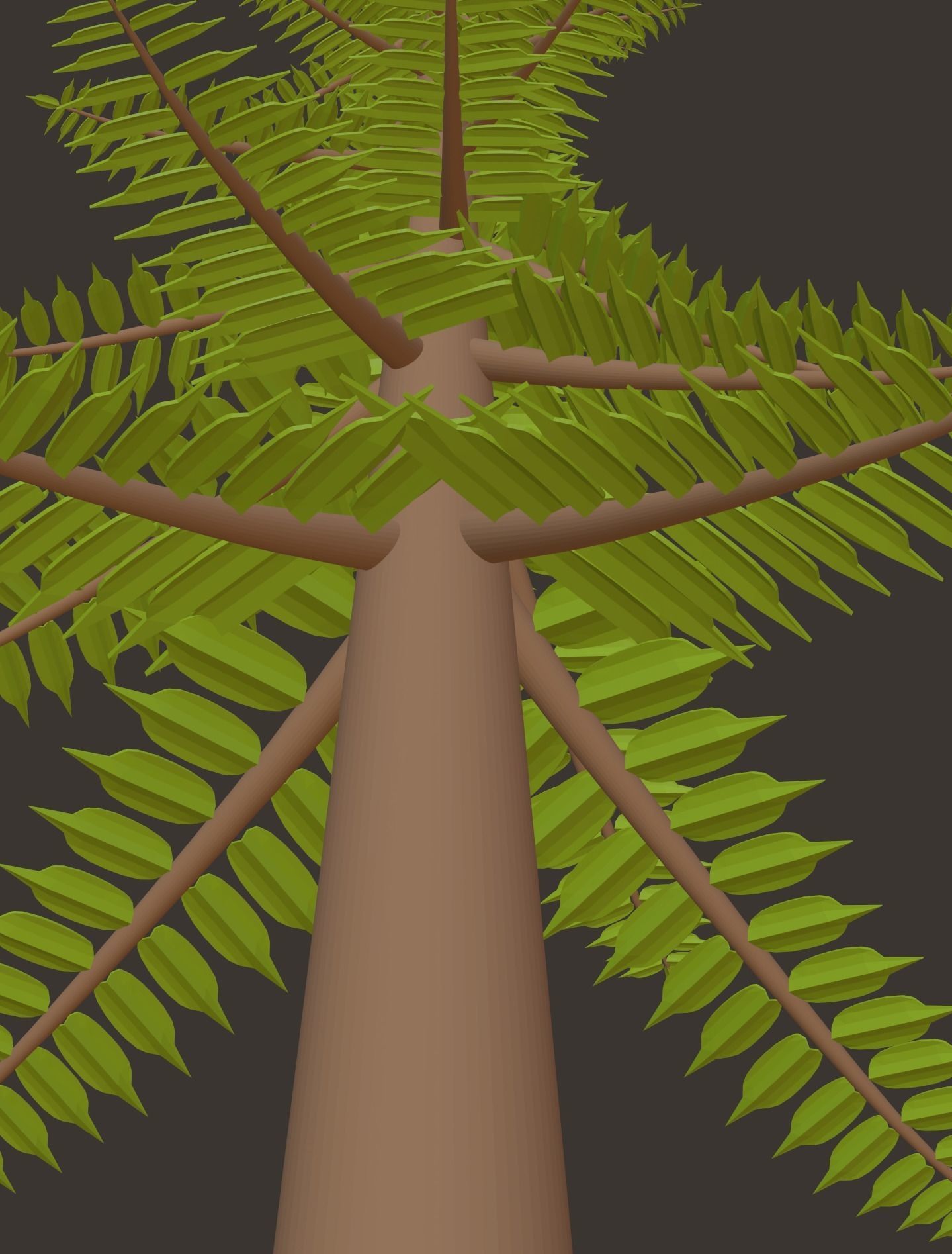 CHEED TREE FIR TREE PINE TREE  3D model_2