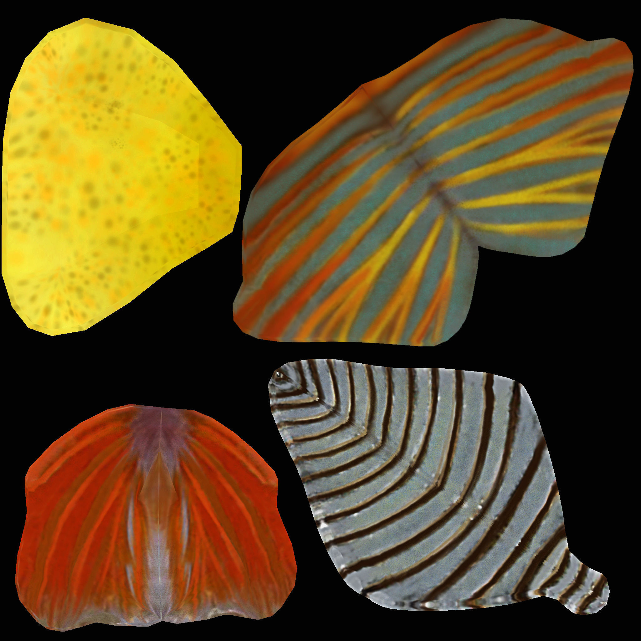 Bony Fish Low-poly 3D model_3