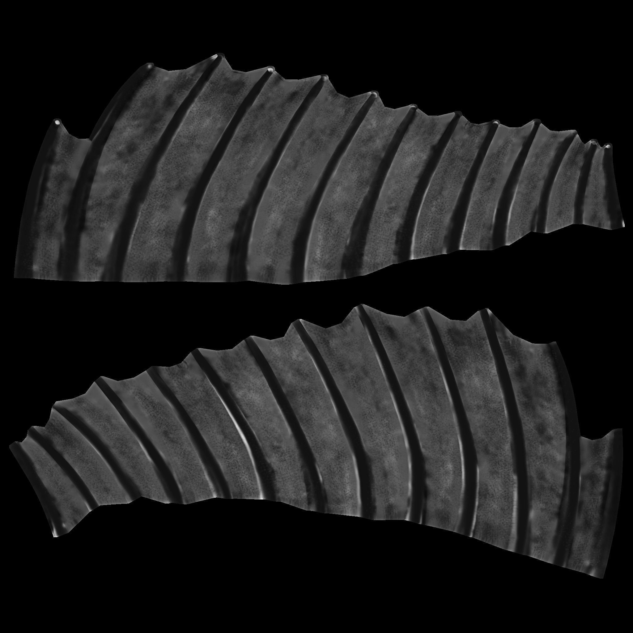 Bony Fish Low-poly 3D model_8