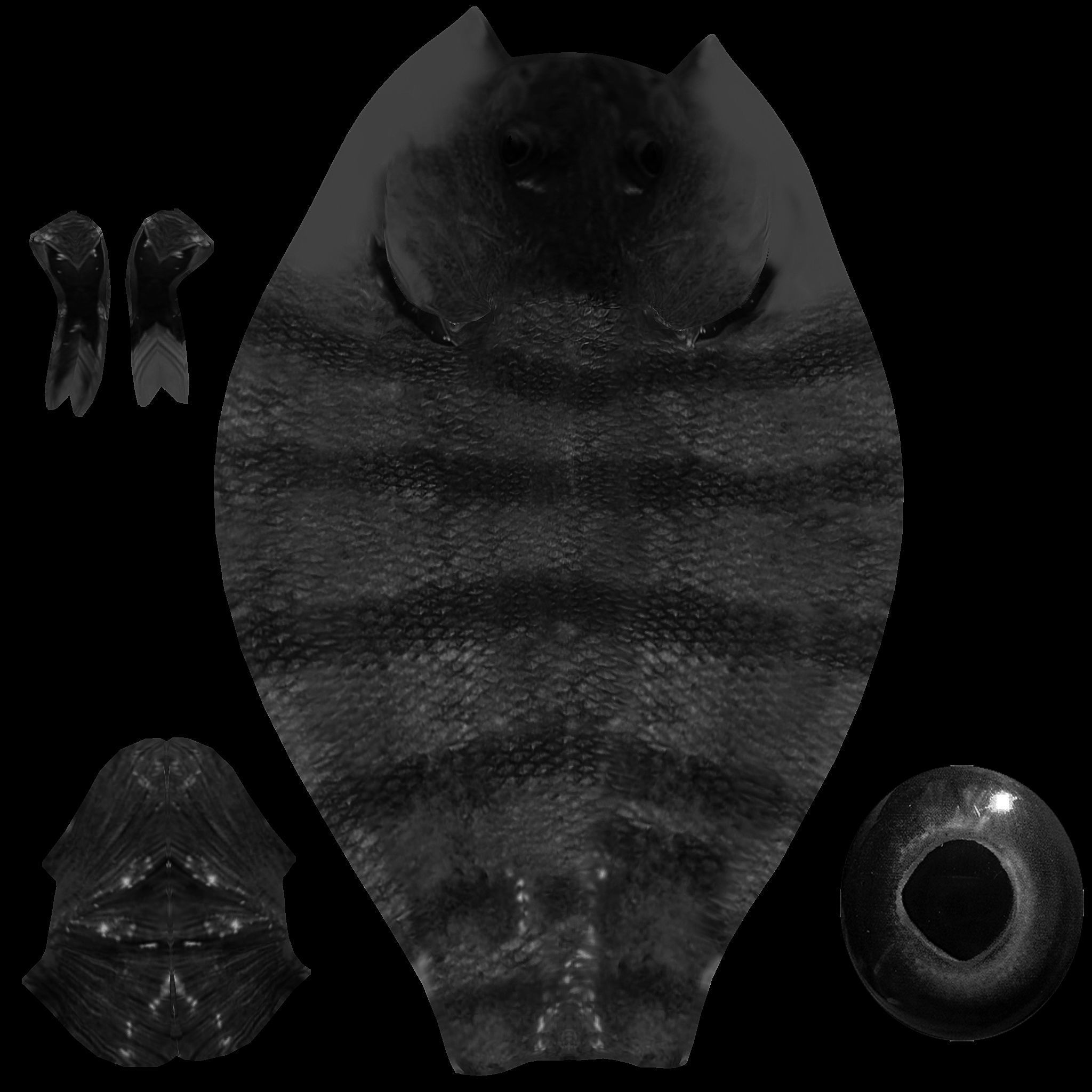 Bony Fish Low-poly 3D model_10